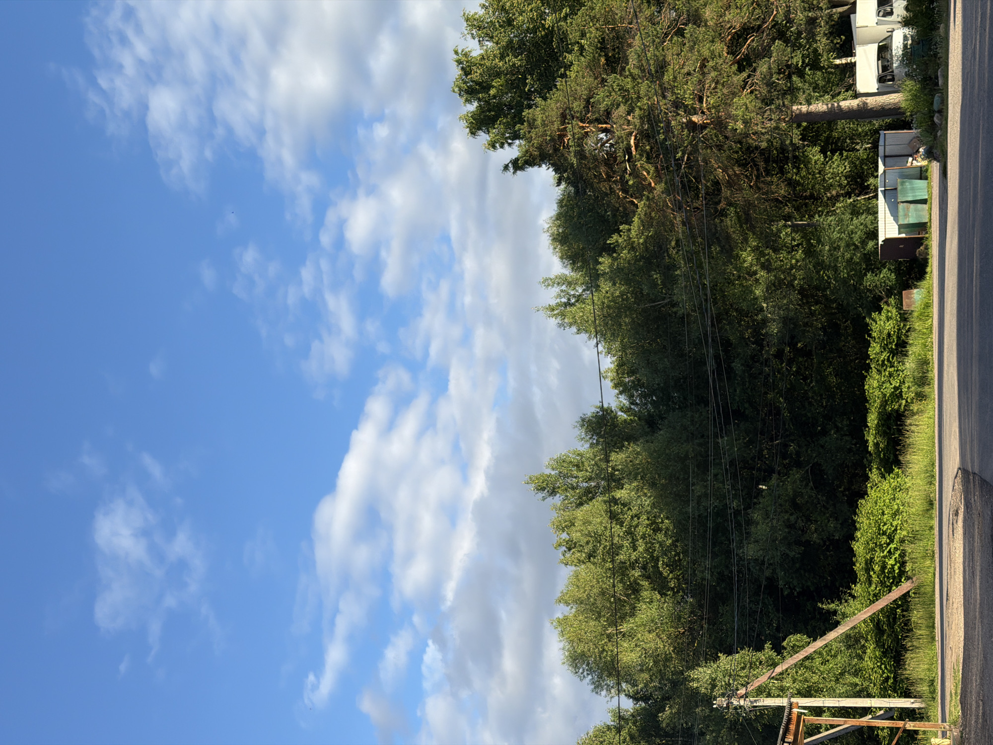 This is a landscape photograph taken outdoors, likely in Moshenskoe, Russia. The image is oriented vertically, with the sky occupying the left half and trees, a road, and some structures filling the right half.
The sky is a bright blue with scattered white clouds, suggesting it is daytime, likely morning or afternoon, with fair weather. The clouds appear wispy and are varied in density.
Dominating the right side of the frame is a dense line of green trees, predominantly deciduous with some conifer elements. These trees form a natural barrier along what appears to be a road. The road itself is paved with asphalt and has a visible shoulder, suggesting a rural or semi-rural setting.
Interspersed within the treeline and near the road are several man-made structures. There are some white and green prefabricated buildings, possibly sheds or small structures. One appears to be a white truck or van parked among the trees. A wooden utility pole with wires is also visible, leaning precariously.
No people are visible in the photograph. The scene conveys a sense of quiet, natural landscape with hints of human presence through the road and structures. The lighting suggests a sunny day. There is no visible text in the image.