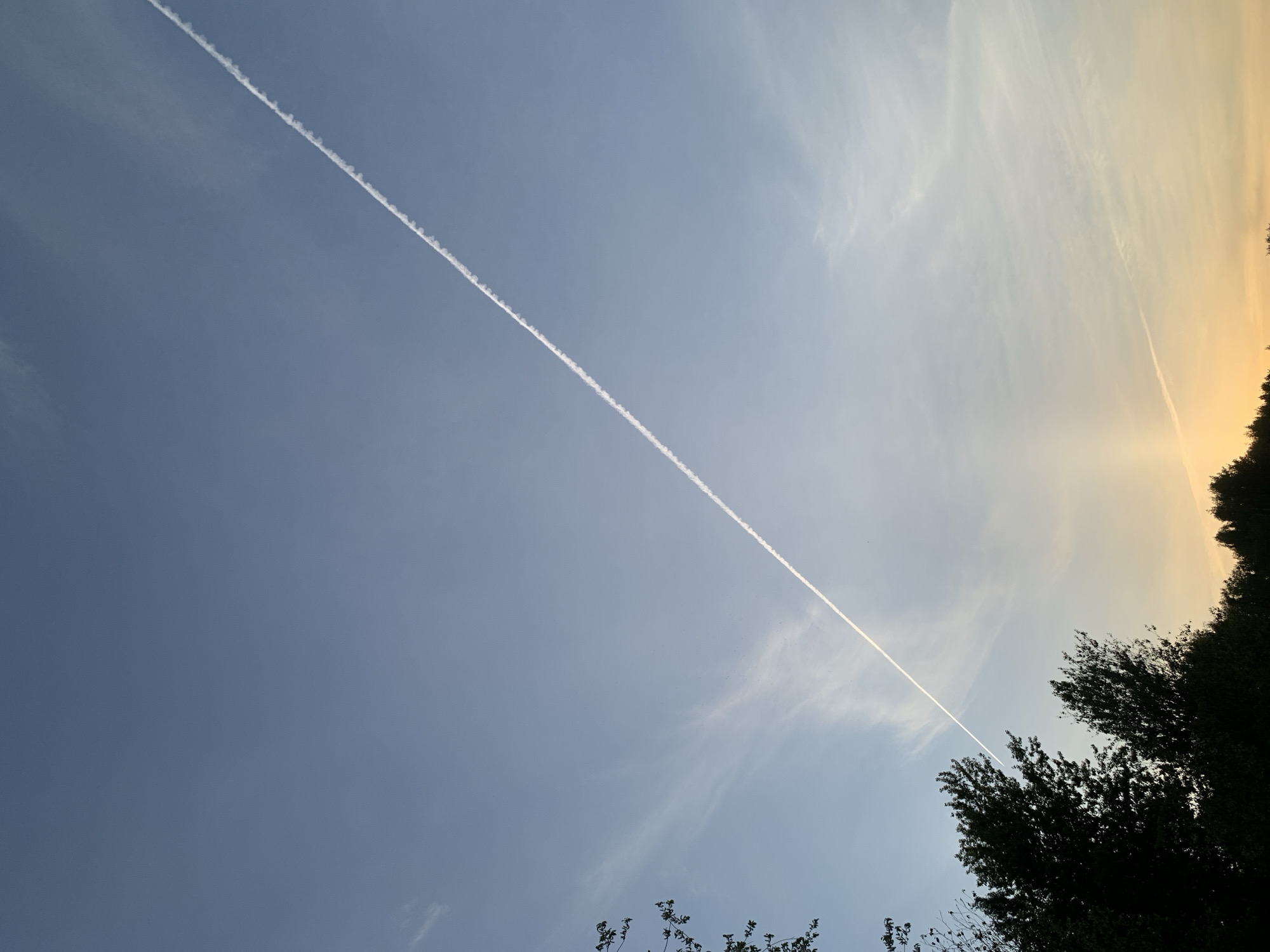 The image shows a bright, blue sky with a prominent contrail stretching diagonally across the frame. The contrail appears white and linear. The lower right of the image reveals foliage, possibly trees, silhouetted against a light, yellow-orange horizon. The photo seems to have been taken at an angle. The location of the city of Chaikovsky, Russia, cannot be determined from the information given in the image.