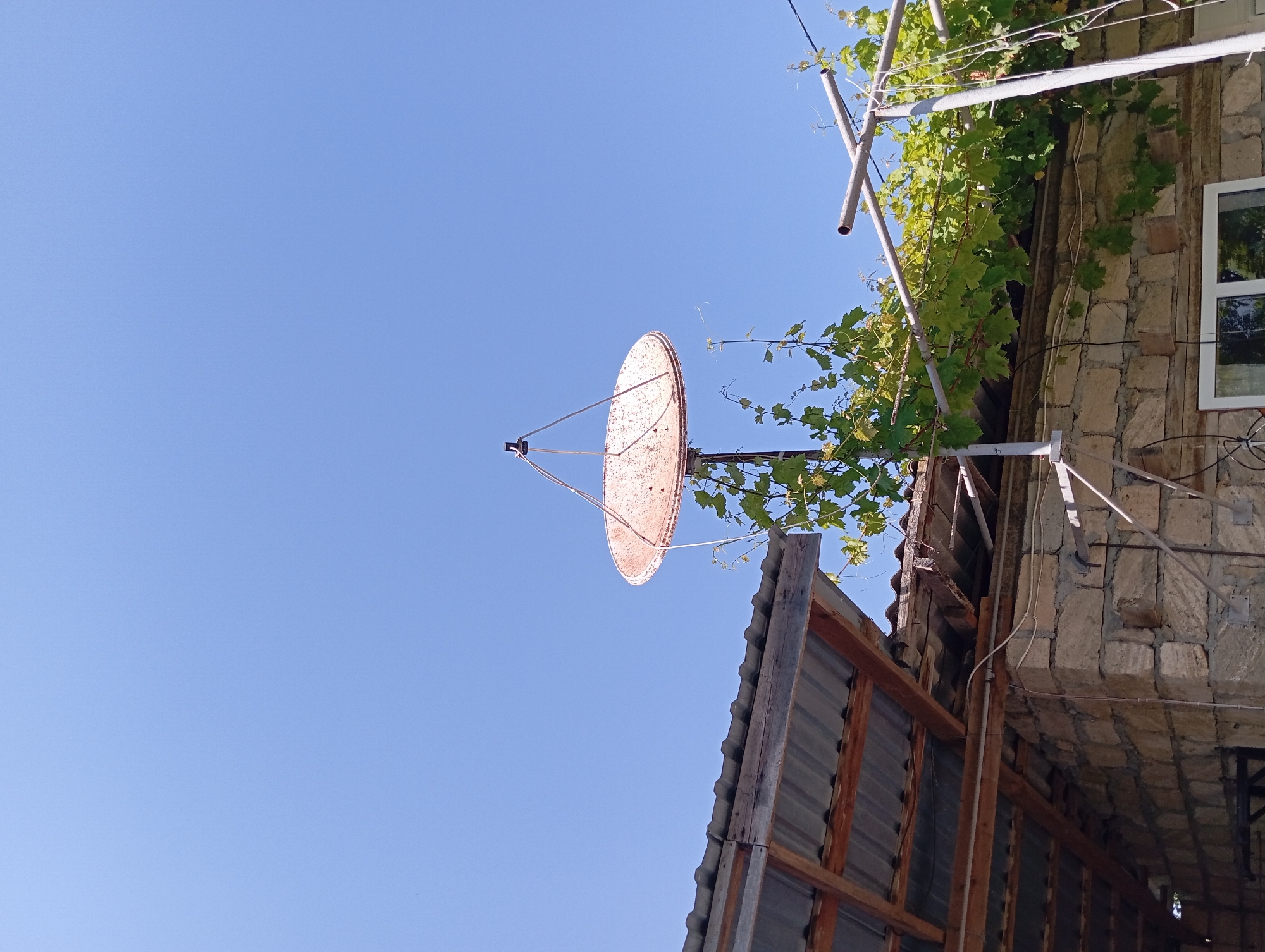 In Şirvanlı, Azerbaijan, a rusty satellite dish is mounted on a pole, rising above a stone building with a corrugated metal roof. Green vines with lush leaves climb around the satellite dish and extend onto a metal pergola structure. The sky is a clear, bright blue. The scene suggests a rural or semi-rural setting.