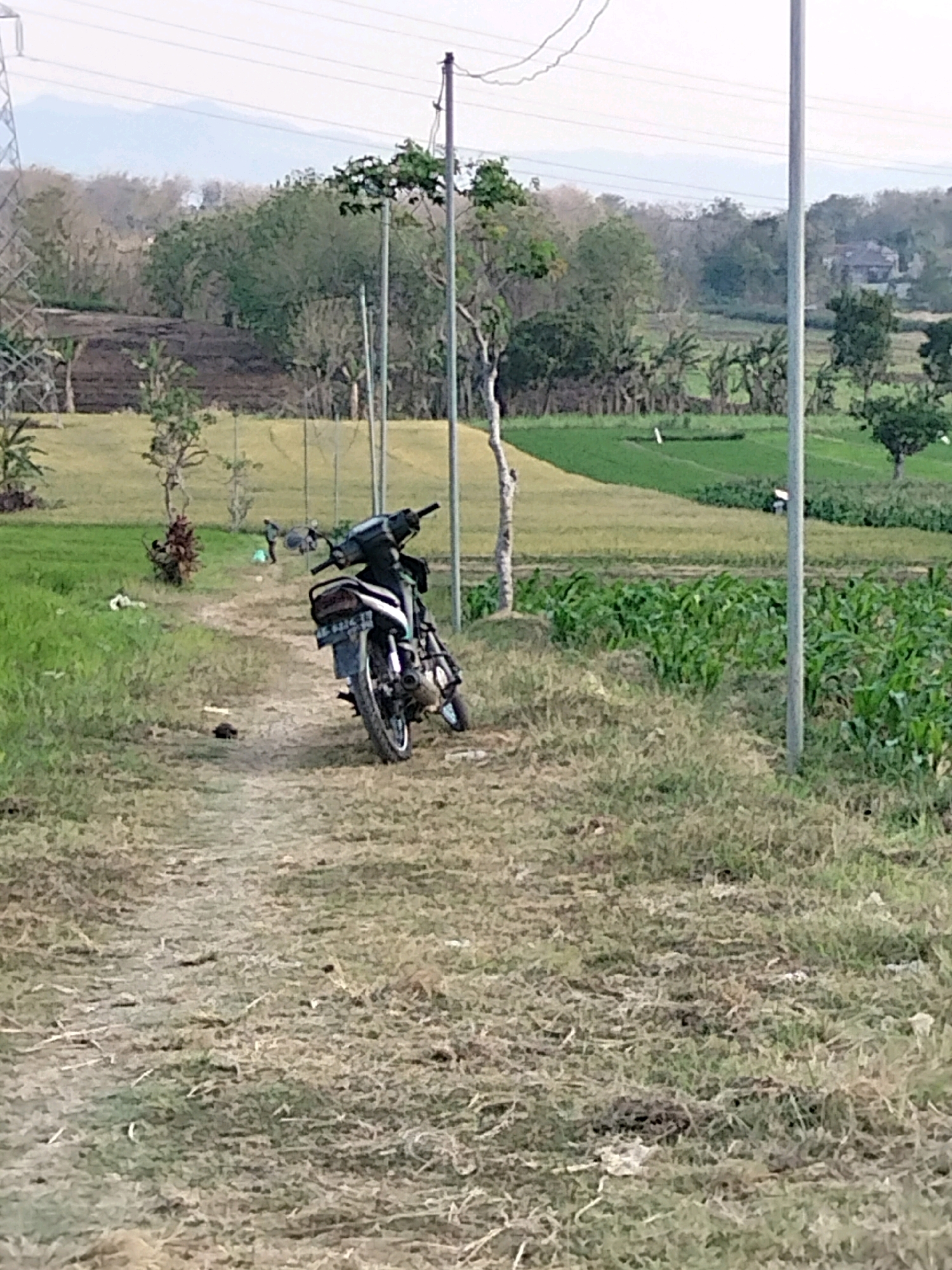 The image depicts an outdoor scene in a rural area, likely Setono, Indonesia, with a focus on a dirt path leading through a landscape of fields and vegetation. A black and white motorcycle is parked on the right side of the path, leaning slightly. In the background, there are cultivated fields, some of which appear to be rice paddies, interspersed with trees and vegetation. A few distant figures are visible in the fields, one appearing to be tending to the crops. Several utility poles with wires are present, suggesting the presence of infrastructure. The sky is overcast, contributing to a diffused lighting condition. The ground is covered with dry grass and dirt, indicating a dry season or arid conditions.