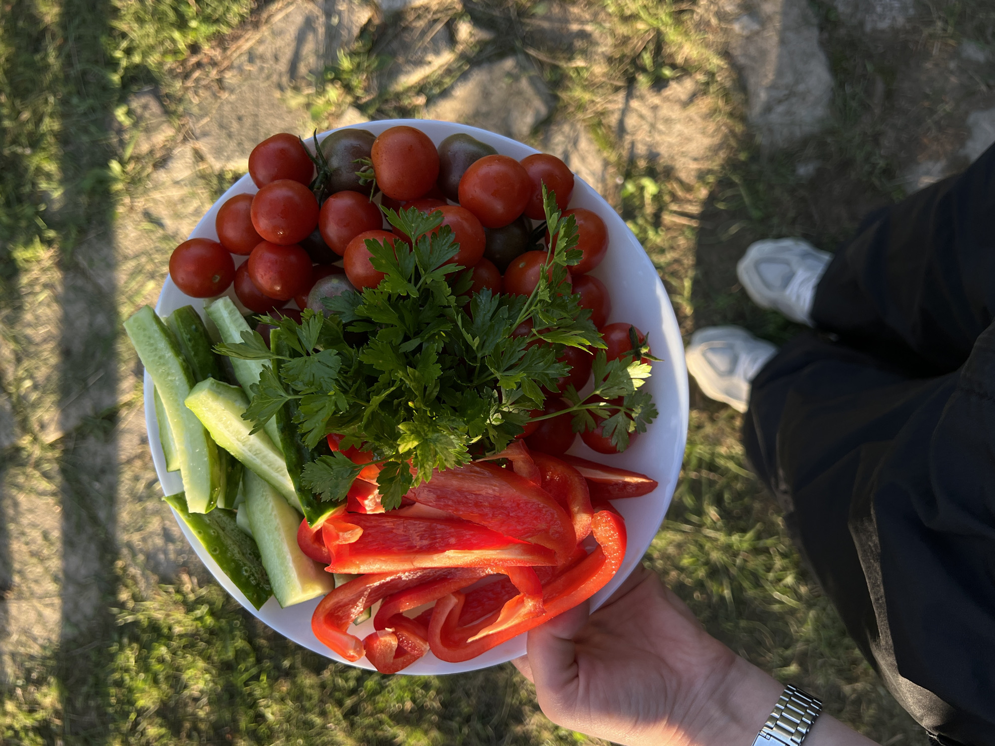 The image shows a close-up, overhead view of a white plate filled with fresh vegetables and herbs. The plate is held by a person whose hands, wearing a watch, and legs, clad in black pants and white sneakers, are visible in the lower right corner. The vegetables include cherry tomatoes (red and some darker varieties), sliced cucumbers, and strips of red bell pepper. A generous bunch of fresh parsley is placed in the center of the plate, nestled among the tomatoes.
The plate is set outdoors on a surface that appears to be a mix of grass and possibly some stone or gravel, with dappled sunlight casting shadows across the scene. The lighting suggests it is either early morning or late afternoon, with a warm, golden hue. The background is out of focus, showing more of the grassy, outdoor environment.
The overall impression is of a healthy, ready-to-eat snack or part of a meal being enjoyed in an outdoor setting, possibly a picnic or a garden gathering. There are no visible text elements in the image. The setting hints at a casual, possibly relaxed atmosphere.