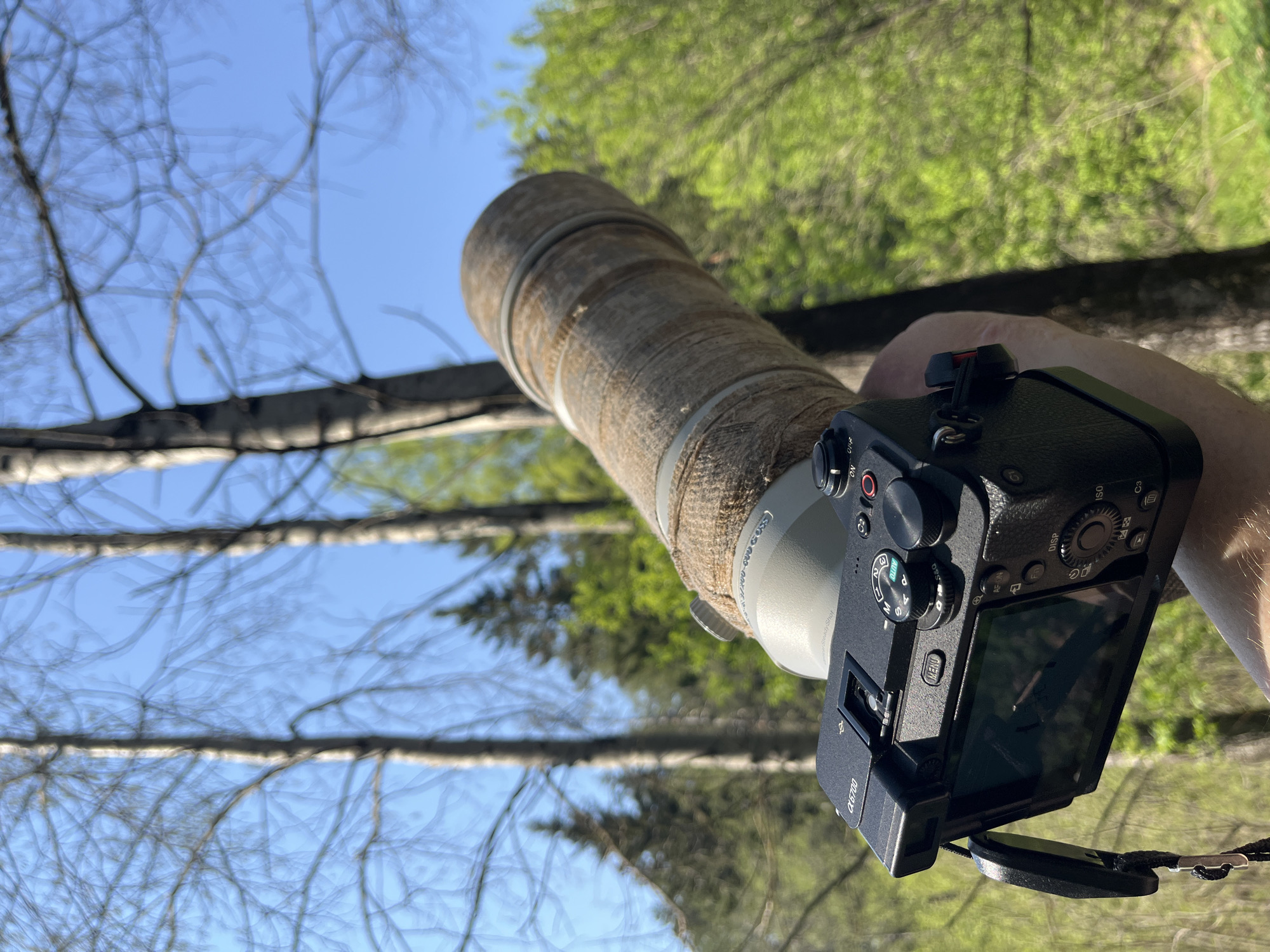 A camera with a large telephoto lens is held against a backdrop of trees and sky. The camera is predominantly black with a silver lens mount, and the lens itself is wrapped in a fabric covering. The background features the pale blue of the sky visible through the intricate branches of trees, with denser green foliage behind. The camera's screen is open, and part of a hand or arm is visible holding the camera. The image orientation suggests it might have been taken looking upwards. It is not possible to infer the exact location within the city of Chaikovsky, Russia, or any other specific details without additional information or context.