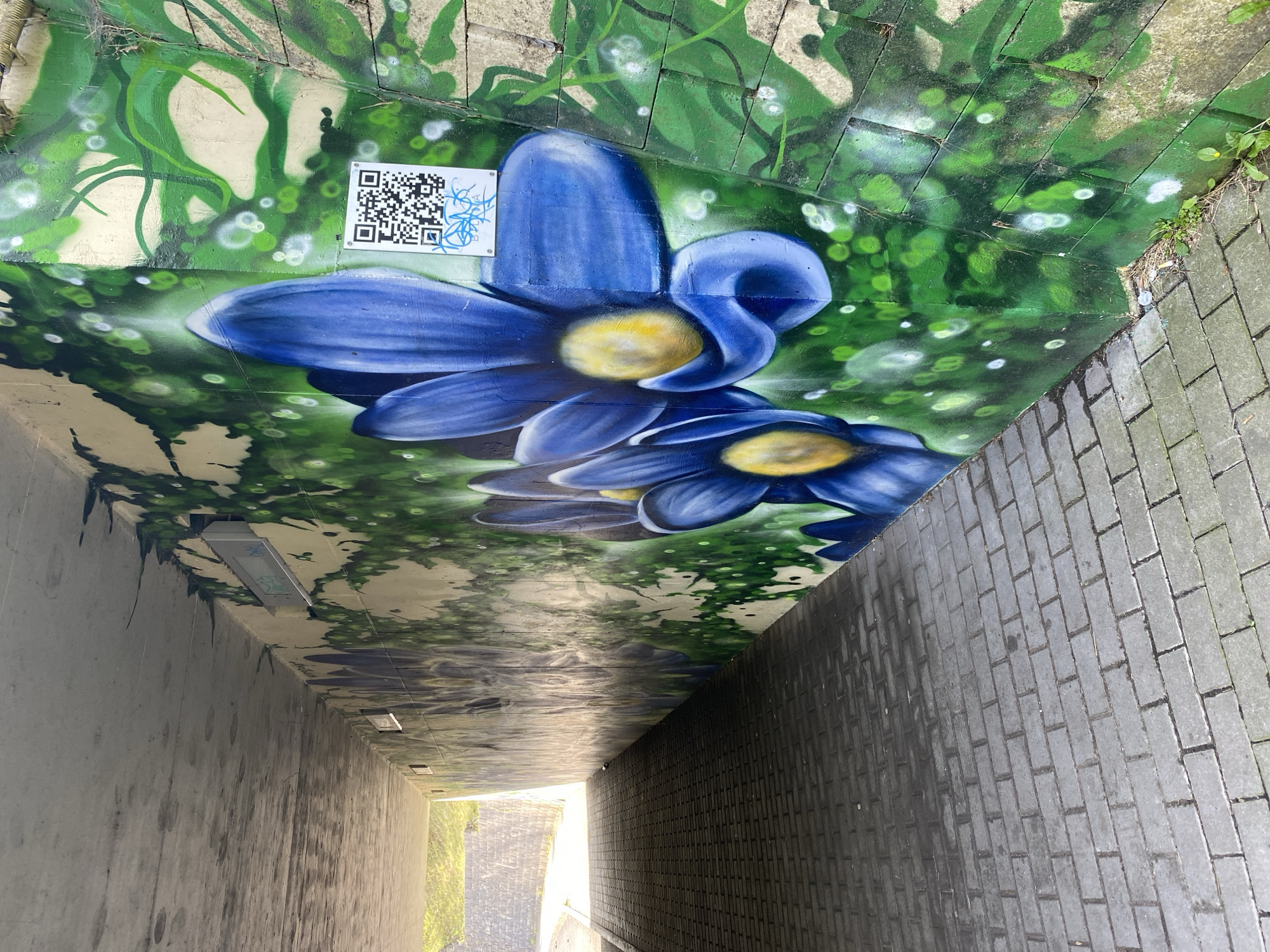 The image shows a pedestrian underpass in Bílina, Czechia, with graffiti art covering the walls. The art depicts large blue flowers with yellow centers against a backdrop of green foliage and white circles that resemble water droplets or bubbles. A QR code is affixed to the wall near the flowers. The underpass has a paved walkway made of grey interlocking bricks, and the ceiling is made of concrete. The tunnel slopes upwards towards an opening where sunlight is visible. The walls are made of concrete and stone. Some litter is present on the ground at the base of the wall. The overall scene is a blend of urban infrastructure and artistic expression.