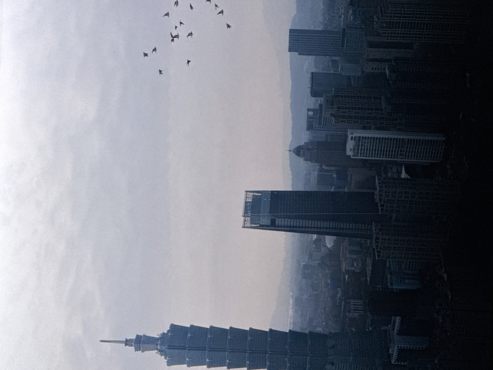 An aerial view captures a dense urban cityscape under a hazy, overcast sky. Dominating the left side of the frame is a tall, tiered skyscraper, its silhouette distinct against the muted background. To the right of this prominent structure, other buildings of varying heights and architectural styles form a sprawling metropolis. In the upper right quadrant, a flock of birds soars through the sky, their dark forms scattered against the pale clouds. The overall scene is characterized by a muted color palette, with shades of blue, gray, and dark tones creating a somber and atmospheric mood. The image does not depict Saratov, Russia.
