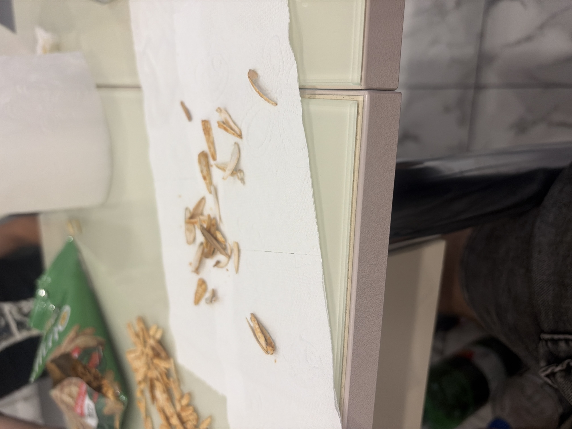 The image shows scattered pieces of what appear to be dried root vegetables or similar food items on a white paper towel, which is placed on a light-colored surface. In the background, a green bag is visible, partially open, with more of these food items inside. A person's legs and torso, wearing dark jeans, are visible at the bottom of the frame. A green bottle and a partially obscured plastic bottle are under the surface in the lower left. The scene appears to be indoors, possibly on a table, in a domestic setting. The location of Podgumer, Bulgaria is not explicitly depicted or inferable from the visual information.