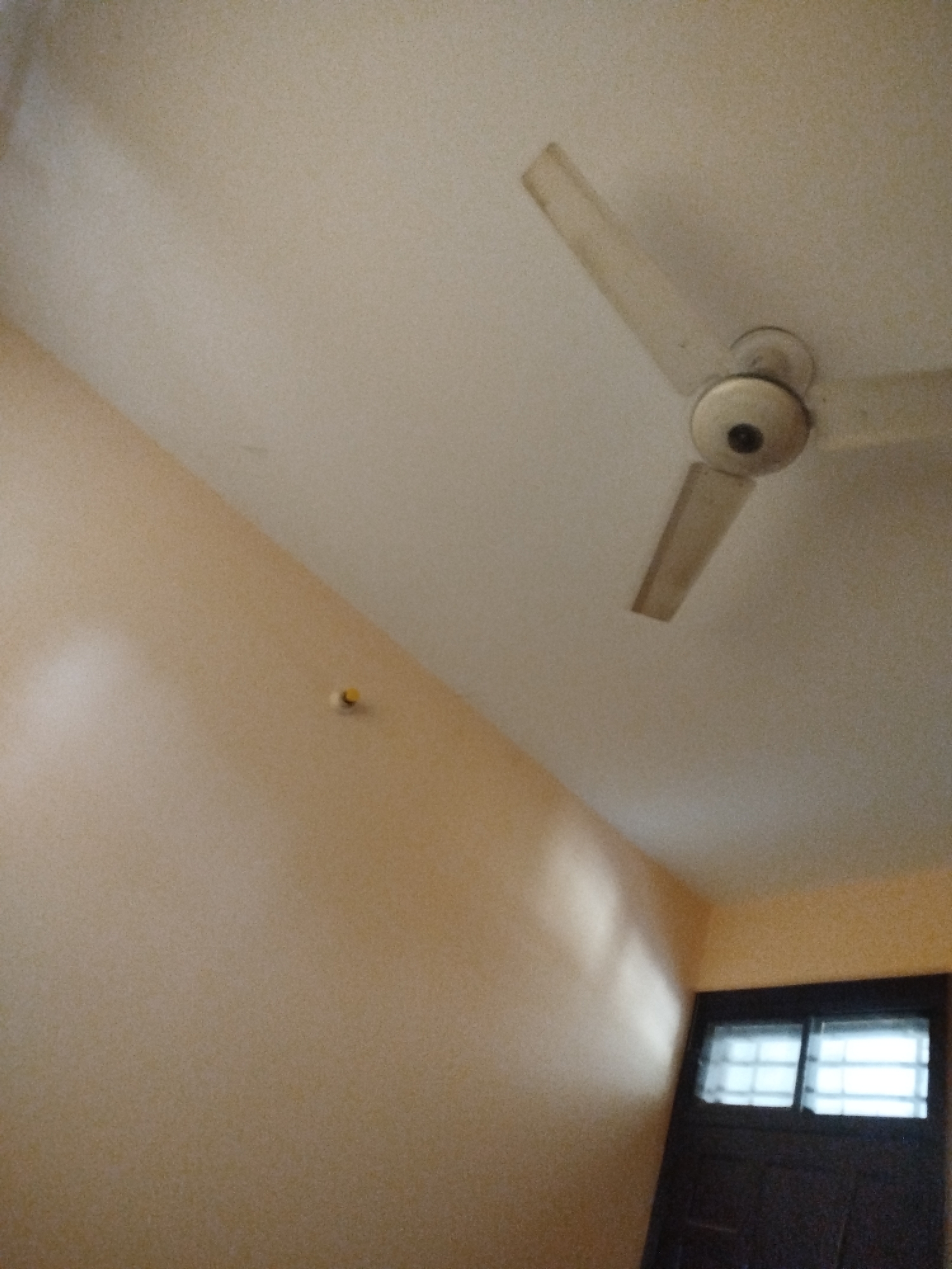 The image shows a ceiling fan with three blades angled upwards, a light-colored ceiling, and a beige wall. A dark wooden door with two windows is visible in the lower right corner. The windows have a grid pattern and are illuminated from within. There is a small yellow object on the wall to the left of the door. The scene appears to be indoors in a room.