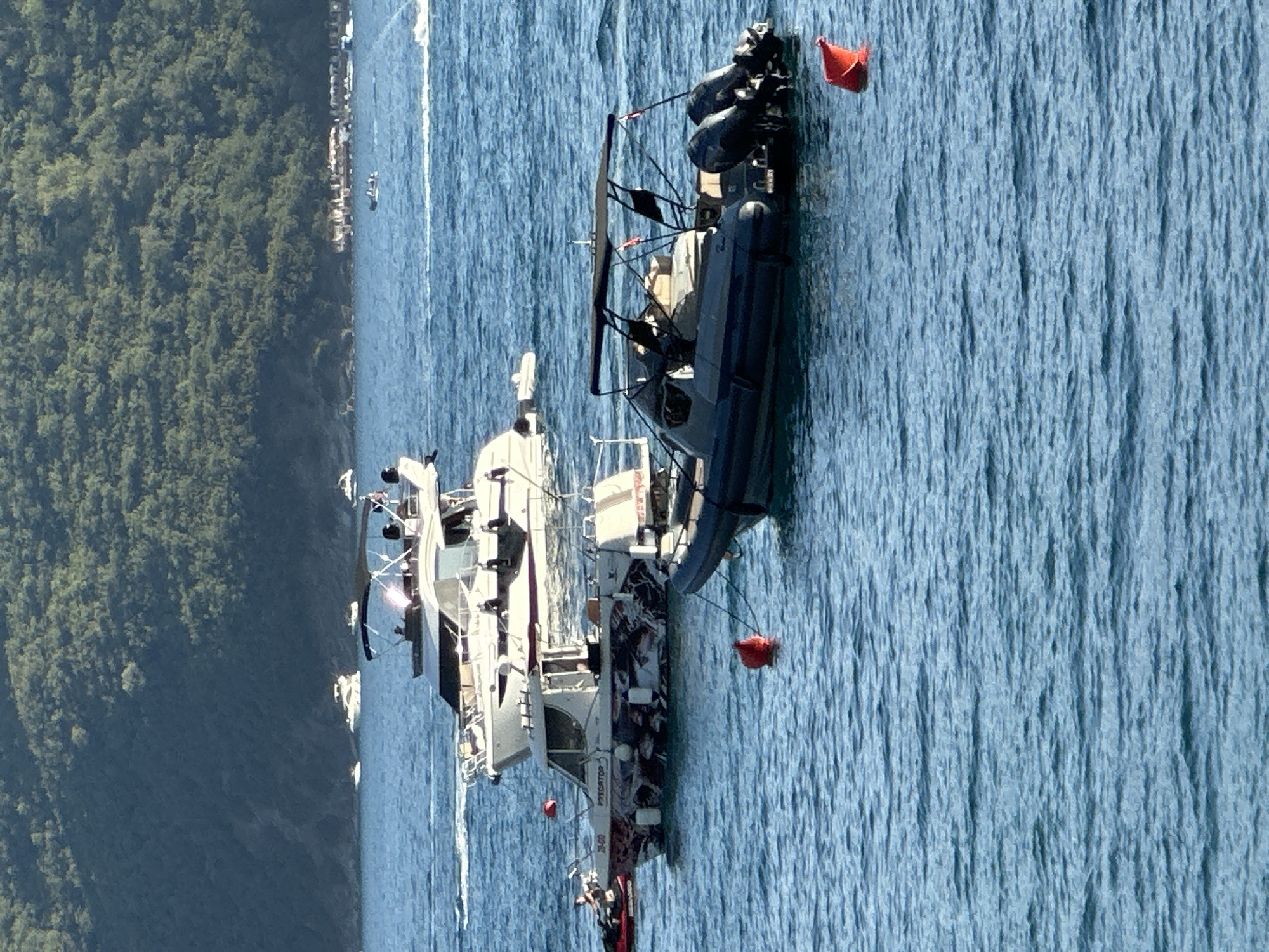 The image shows several boats on the water with a forested hill in the background, likely depicting the coastline near Budva, Montenegro. In the foreground, a dark grey rigid inflatable boat with a black canopy and twin outboard motors is moored. To its left and slightly behind is a white boat with a distinctive graphic wrap on its hull, labeled "PREDATOR." Behind these, a larger white yacht with multiple levels is visible. Several red buoys are floating in the water. In the distance, the lush, green hillside slopes down towards the sea, with a hazy line of trees suggesting a coastal landscape. The water is choppy, indicating a moderate breeze. The overall impression is a sunny day with recreational boating activity.