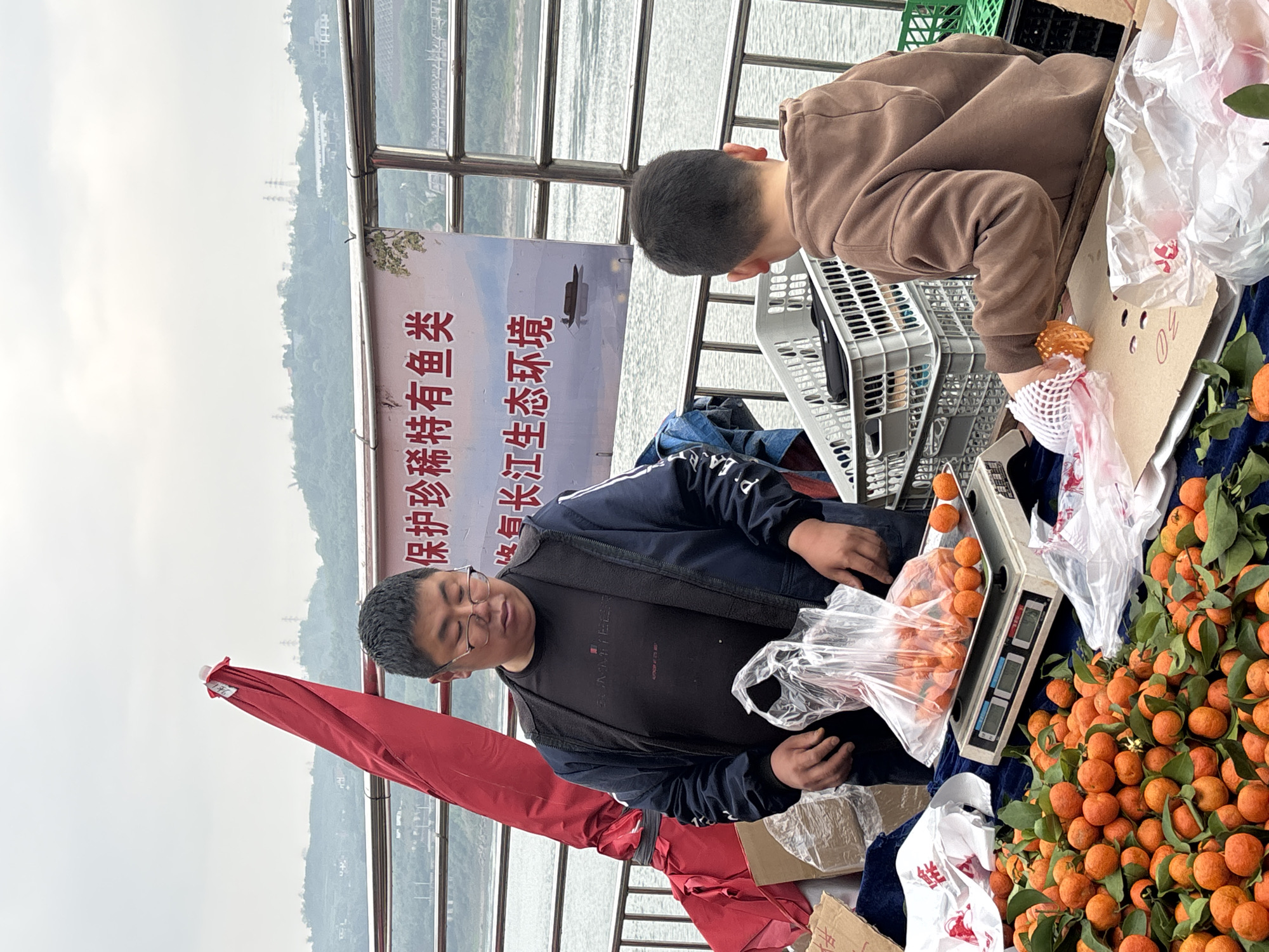 A man and a child are near a display of oranges at a roadside stand in Jiangjin, China. The man, wearing glasses and a navy jacket, is filling a plastic bag with oranges on a digital scale. The child, in a brown sweatshirt, selects oranges from the display. The oranges are bright orange and some have green leaves attached. A red umbrella is partially visible. Behind them is a sign in Chinese characters that reads "Protect rare and unique fish species, protect the Yangtze River ecological environment" with an illustration of a dolphin. A metal railing and a body of water are in the background, with hills visible in the distance.