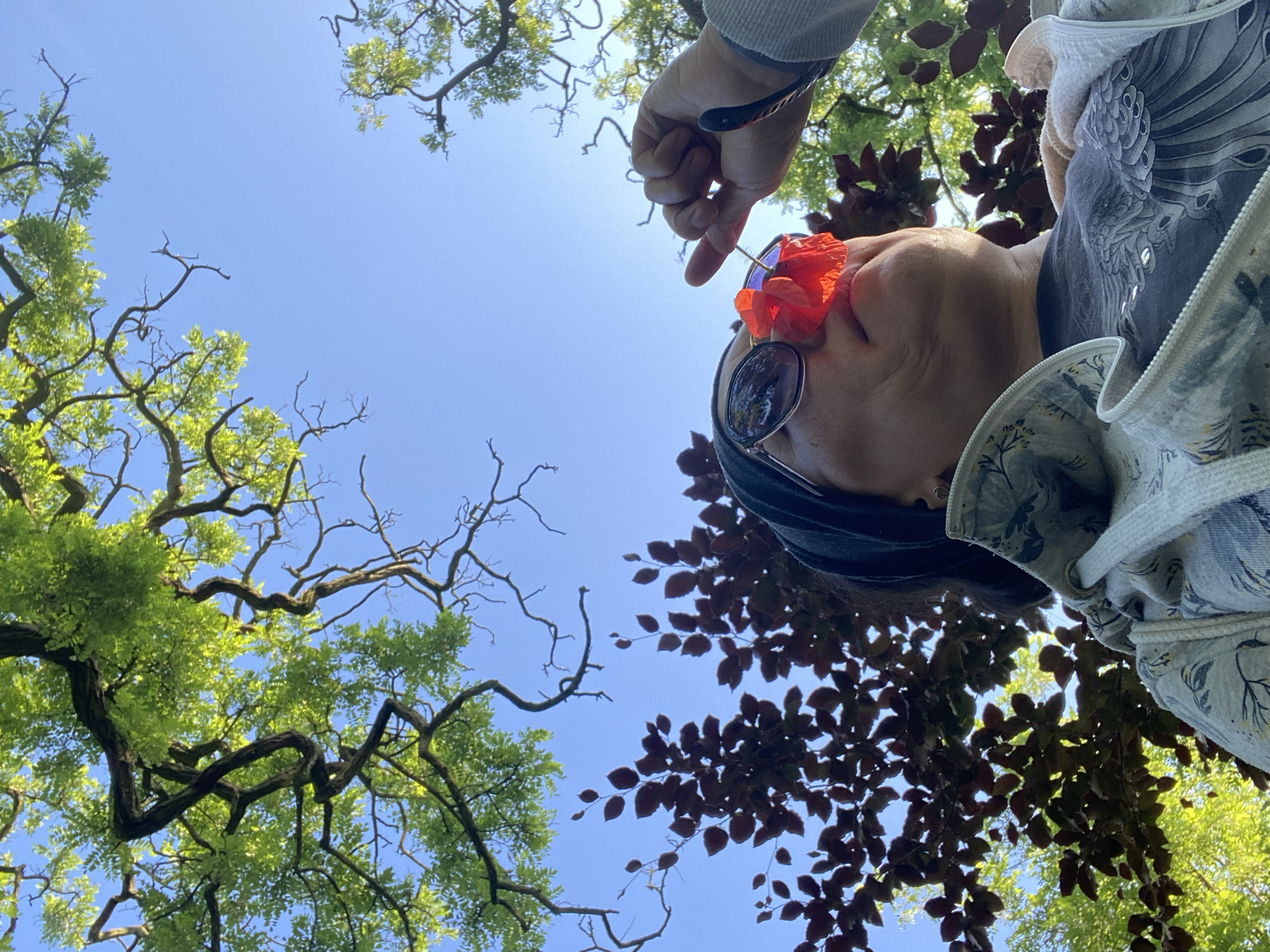 In Wielka Wieś, Poland, a low-angle shot looks up at a person holding a red flower to their nose against a bright blue sky and dappled green and red foliage. The person, wearing sunglasses and a black headscarf, is dressed in a light-colored zip-up hoodie with a floral pattern over a dark t-shirt. A hand is visible holding the flower to the person's face. The scene is set outdoors, likely in a park or garden, with sunlight filtering through the trees.