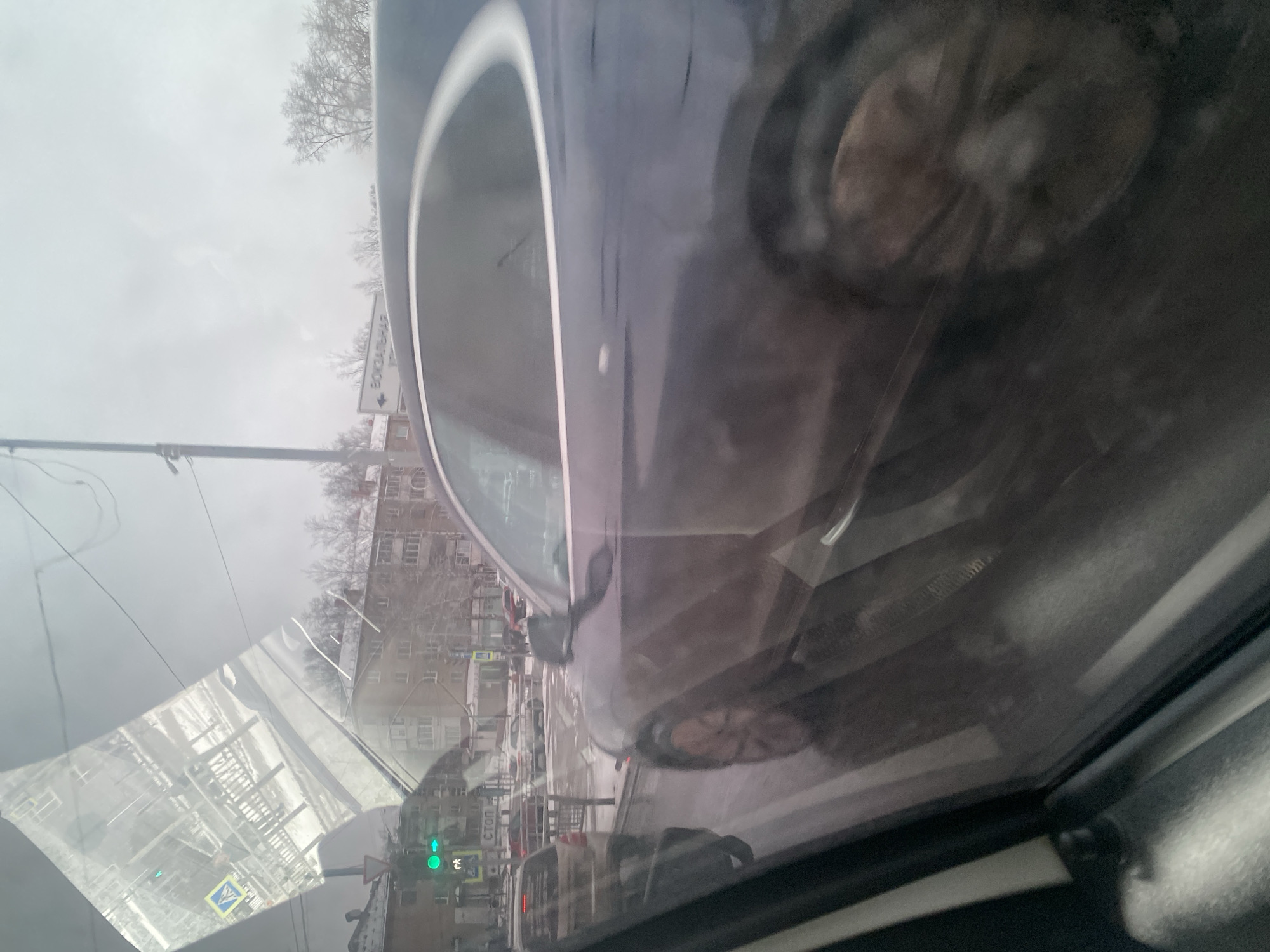 The image shows a view from inside a car in Chaikovsky, Russia. Another car is visible in the side mirror and through the windshield. Buildings, trees, traffic signals, and street signs are visible in the background. The traffic signal is green. The weather appears overcast.