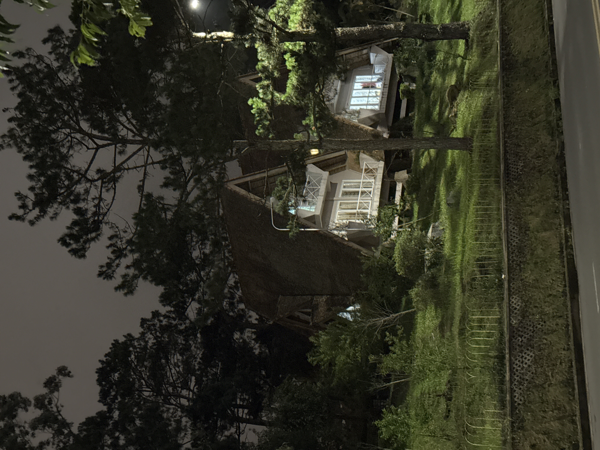 The image displays a tranquil nighttime scene in Da Lat, Vietnam, centered around a distinctive building enveloped by lush trees under an overcast sky. The overall lighting is dim, primarily emanating from artificial sources.
In the midground, a multi-story building with light-colored walls is prominent, featuring a dark, steeply sloped roof, possibly thatched. Several large windows or glass panels reveal brightly lit interiors, casting a warm glow. White railings are visible on balconies or terraces, hinting at a resort or European-influenced architectural style, characteristic of Da Lat.
The building is set within a dense natural environment. Numerous tall, dark coniferous trees, likely pines, frame the scene, their silhouettes prominent against the muted sky. Patches of their green foliage are subtly illuminated by ambient artificial light. Grassy terrain extends from the base of the trees and the building, leading towards the right side of the frame where a low, dark fence runs parallel to a paved surface, presumably a road or pathway. A small, indistinct animal, possibly a deer, can be discerned on the grassy slope near a tree.
The sky is uniformly dark and overcast, contributing to the serene and quiet ambiance of the night. There is no visible human activity, creating a sense of peaceful solitude. No text is visible in the image.