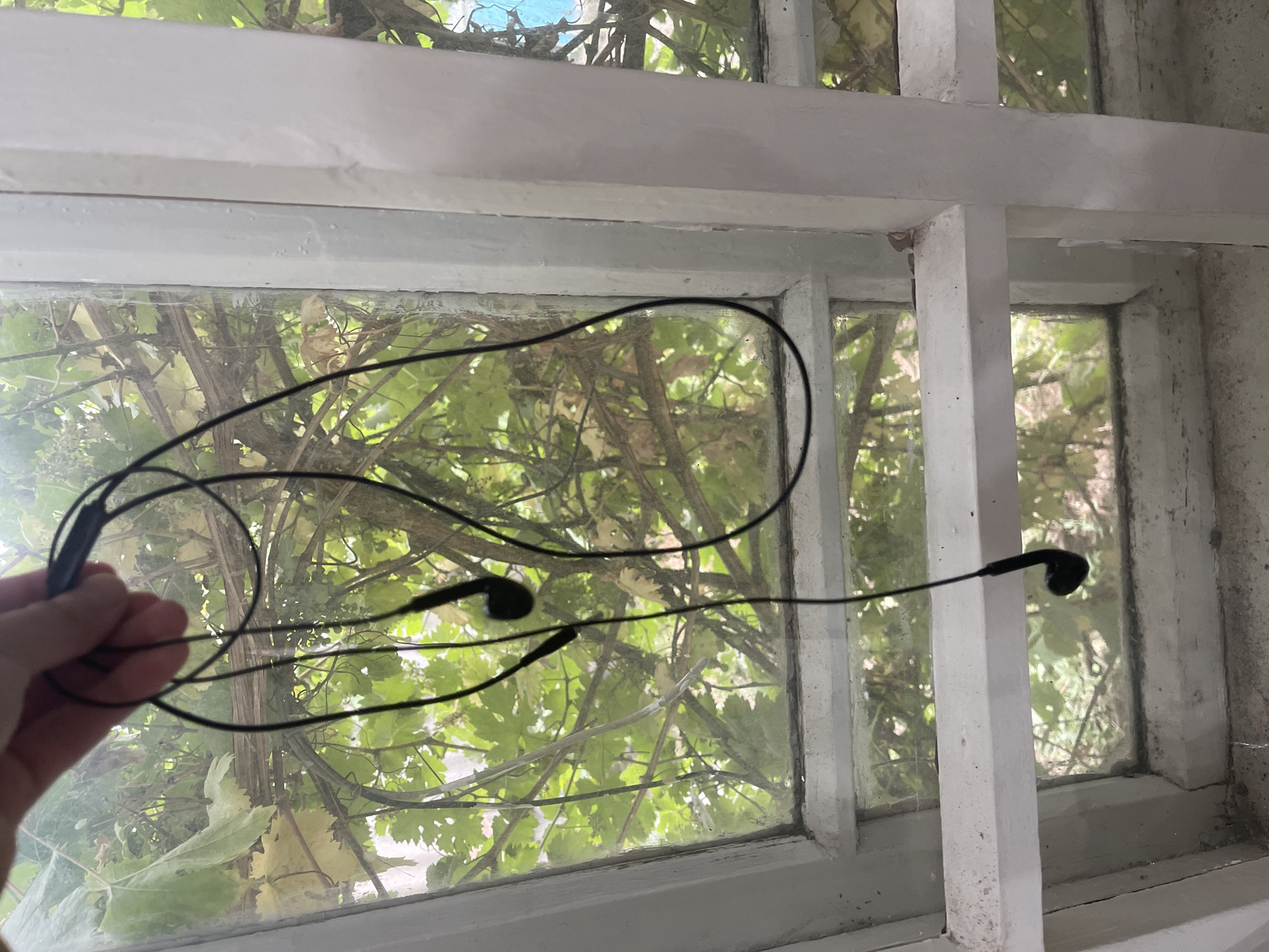 A person's hand is holding a pair of black wired earbuds in front of a window. The earbuds are dangling, with one earbud visible near the top and the other towards the bottom of the frame. The window is divided into panes by white mullions and appears to be dirty. Outside the window, dense green foliage from what appears to be a vine or tree is visible, with sunlight filtering through the leaves. The overall scene suggests an outdoor or semi-outdoor setting. The location is Bishkek City, Kyrgyzstan.