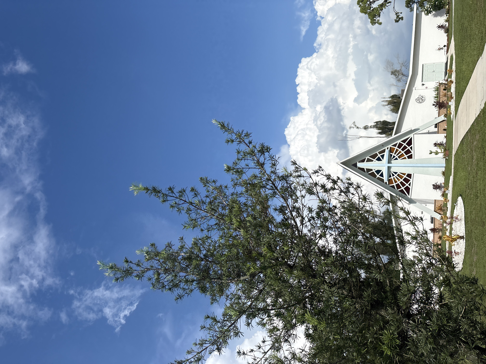 The image shows a modern white church building with a triangular roof and stained-glass windows forming a cross shape. A light blue cross is prominently displayed in front of the building. The church is surrounded by a manicured lawn and a pathway. In the foreground, a large evergreen tree with delicate branches partially obscures the view of the building. The sky is bright blue with fluffy white clouds, suggesting a sunny day. The location is identified as the city of North Port, United States of America. There are no people visible in the image.