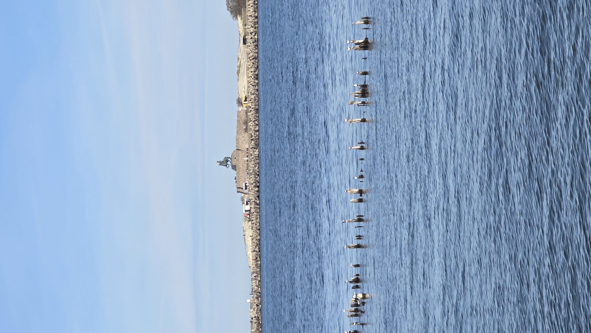 A sideways shot captures the city of Baltiysk, Russia, featuring the sea and coastal elements. A line of wooden posts extends into the water, potentially serving as a breakwater or remnants of a pier. The shoreline is fortified with a stone barrier. A statue is visible on the shore, possibly depicting a rider on horseback. People are present on the coast near the statue. The sky is blue with some cloud cover. The water is rippled, indicating a breeze or current.