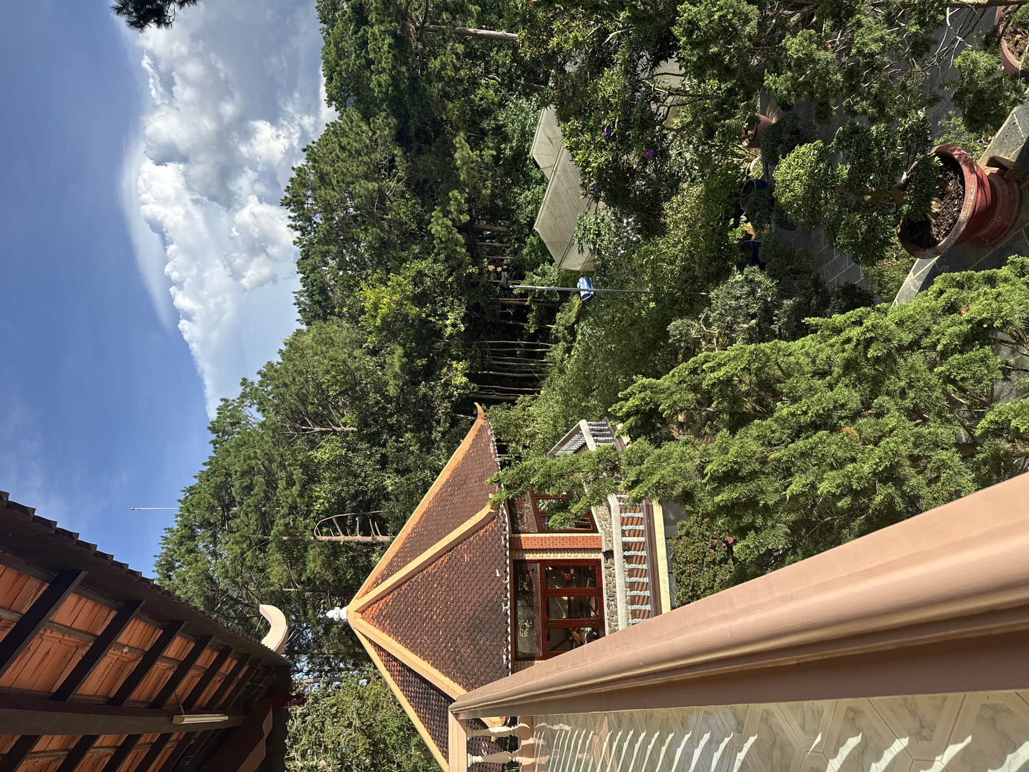 The image depicts a view from a balcony overlooking a lush, verdant landscape in Da Lat, Vietnam. The foreground features a light-colored tiled floor and a warm-toned wooden railing. Beyond the railing, a traditional Vietnamese-style gazebo with a tiered, terracotta-tiled roof dominates the mid-ground. The gazebo is surrounded by a stone balustrade and is nestled amongst dense, mature trees. Further in the background, the landscape transitions into a thicker forest with tall pine trees and smaller, manicured trees and potted plants, suggesting a garden or park setting. Two translucent greenhouses are visible within the forest. The sky above is a vibrant blue with dramatic, white cumulus clouds. The overall impression is one of natural beauty and architectural harmony, characteristic of the highlands of Da Lat. There are no people or animals visible in the image.