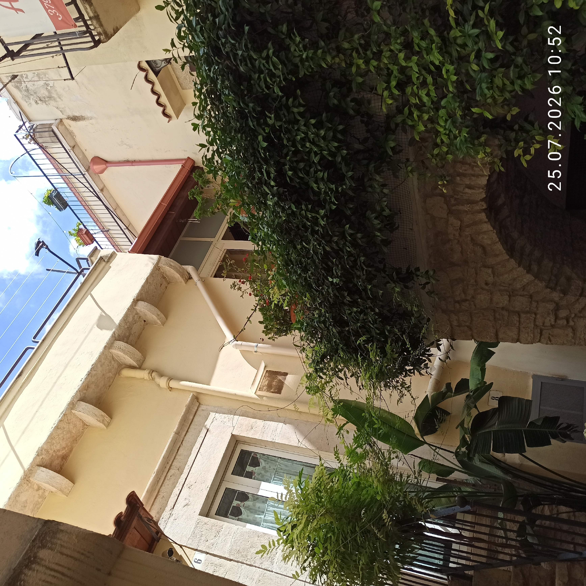 The image depicts an upward view of buildings and vegetation in an urban setting, likely in Ruvo di Puglia, Italy, given the timestamp. The buildings feature cream-colored stucco walls with some areas showing signs of age and weathering. Architectural details include stone lintels above windows, decorative stone corbels supporting an overhang, and a reddish-brown tiled roof.
The scene is dominated by lush green vegetation, including leafy plants and what appears to be a large-leafed tropical plant, cascading over stone archways and balconies. Some of the plants are in pots, suggesting a deliberate arrangement on terraces or balconies. There are also metal railings visible, forming part of balconies and a fence.
The sky above is blue with scattered white clouds. On a balcony railing in the upper part of the image, a bird is perched. Various pipes, likely for water drainage, are visible running down the sides of the buildings. A metal grate or fence is present in the lower left, near a staircase. The image includes a date and time stamp in the lower right corner: "25.07.2026 10:52". There are no visible people or animals other than the perched bird.