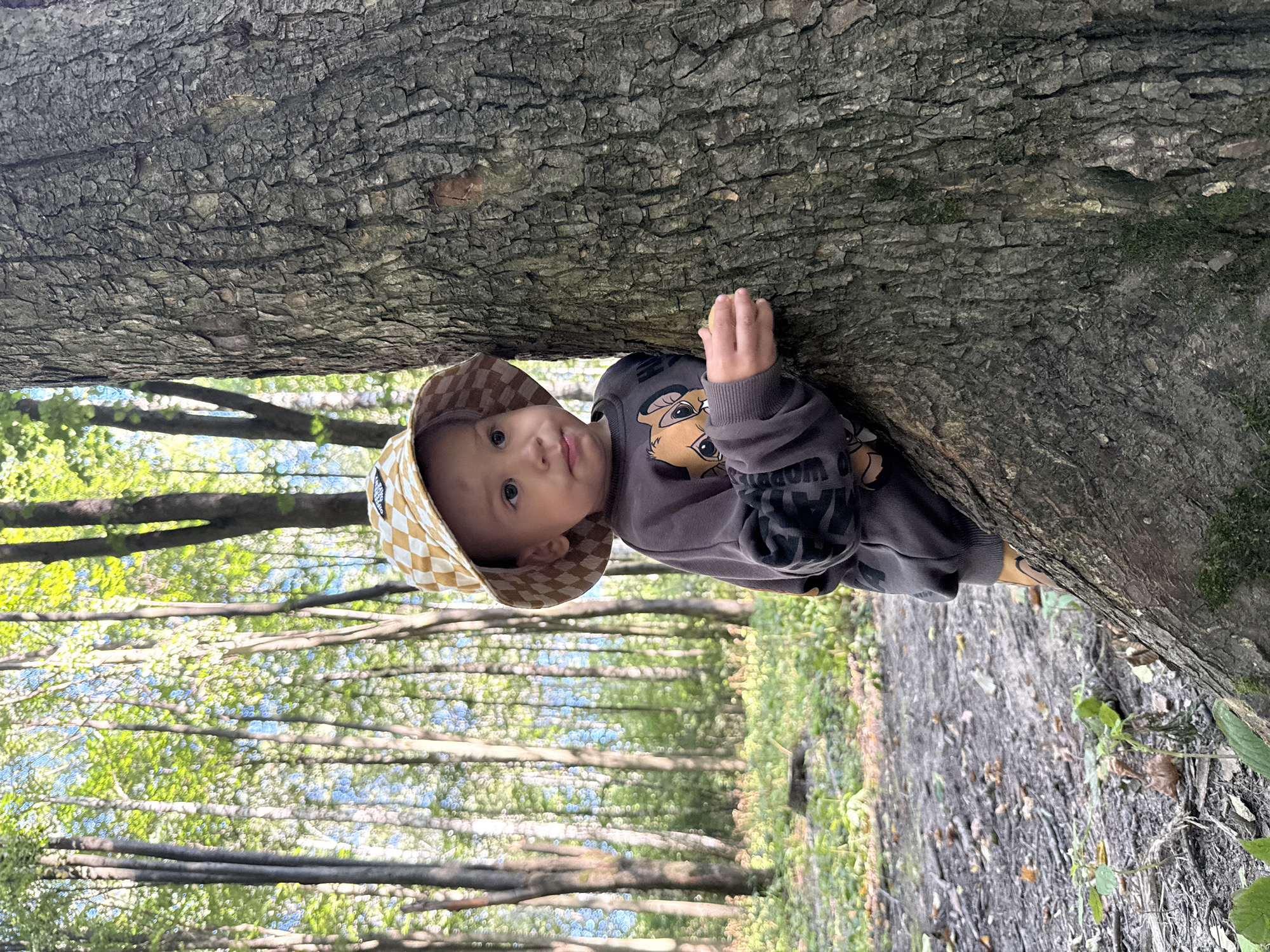 In Rusanovo, Russia, a young child peeks from behind a large tree trunk in a sun-dappled forest. The child, wearing a checkered bucket hat and a dark sweatshirt with a cartoon animal print, is positioned on the right side of the frame, their face turned towards the left. Their left hand is visible, resting on the tree bark. The background consists of a dense forest with tall trees and lush green foliage, illuminated by sunlight filtering through the leaves. The ground is covered with dirt, fallen leaves, and small plants. The overall scene depicts a moment of childhood exploration in a natural outdoor environment.