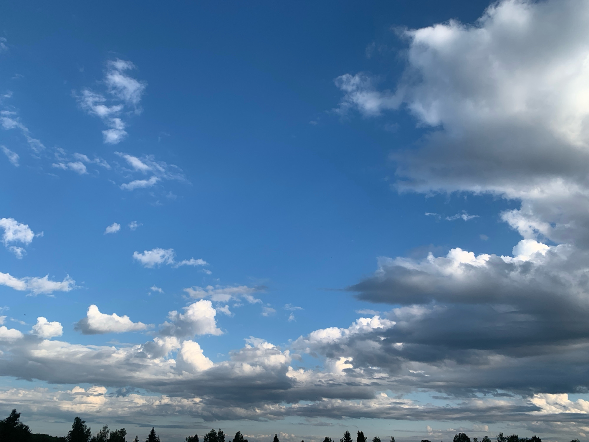 The image is a wide-angle shot of a cloudy sky above a treeline. The sky is a vibrant blue, with scattered white and gray cumulus clouds. Some of the clouds are large and billowy, while others are smaller and more wispy. The treeline at the bottom of the image is dark and indistinct, suggesting it is either far away or the lighting is dim. The overall impression is one of a dynamic and expansive sky. The location is identified as Kolomyia, Ukraine. There are no people or specific objects visible, and no actions or interactions are depicted. The environment is solely the sky and a distant treeline.