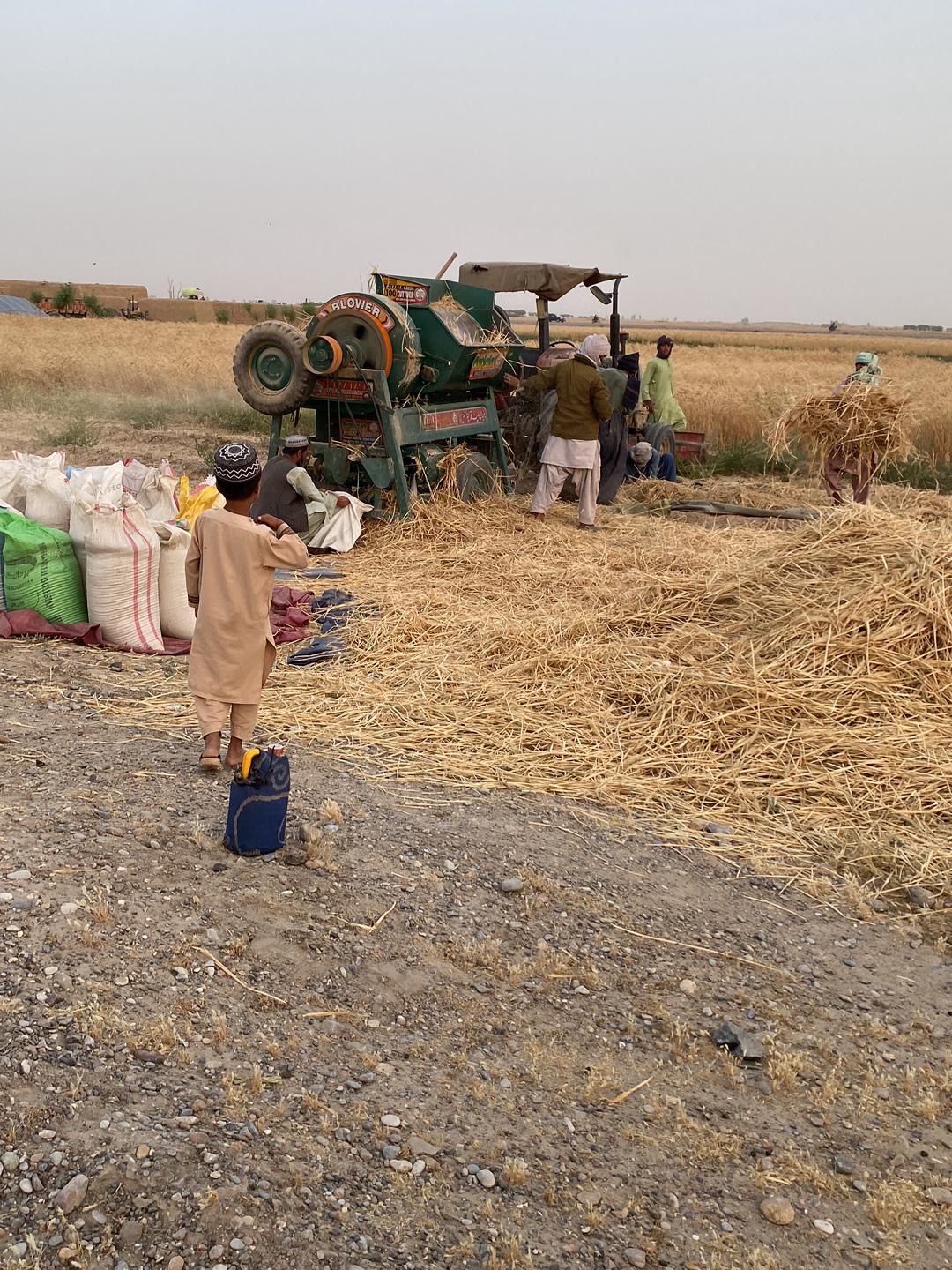 In Alaqadari Daman, Afghanistan, a field shows agricultural harvesting activity. Several people work around an older model threshing machine, which is green and orange with visible brand lettering. The workers feed bundles of straw into the machine. A young boy wearing a tan outfit and a patterned cap stands near a blue and yellow container in the foreground. Bags of harvested grain are stacked nearby. The ground is uneven, with straw scattered about. In the background, a flat field of crops stretches toward the horizon under a pale sky.