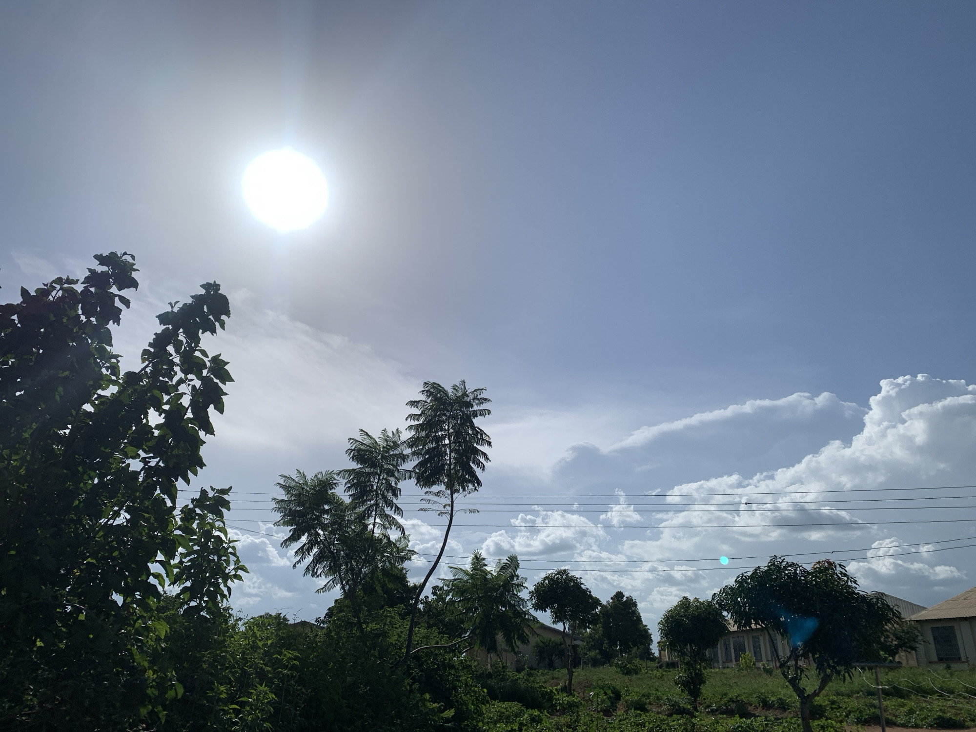 The image depicts an outdoor scene under a bright, sunny sky. The sun is a prominent, overexposed disc in the upper left portion of the frame, casting a strong glare. Various trees with dense green foliage are scattered throughout the foreground and midground, with some taller, slender trees with feathery leaves reaching towards the sky. In the background, there are buildings with light-colored walls and grey roofs, suggesting a rural or semi-urban setting. Power lines are visible horizontally across the mid-to-upper portion of the image. The sky is a clear blue, with dramatic, puffy white clouds present, indicating fair weather. The overall impression is of a bright, possibly hot, day in a location with vegetation and some man-made structures. The time of day appears to be midday, given the high position of the sun and its intensity. There is no discernible text in the image.