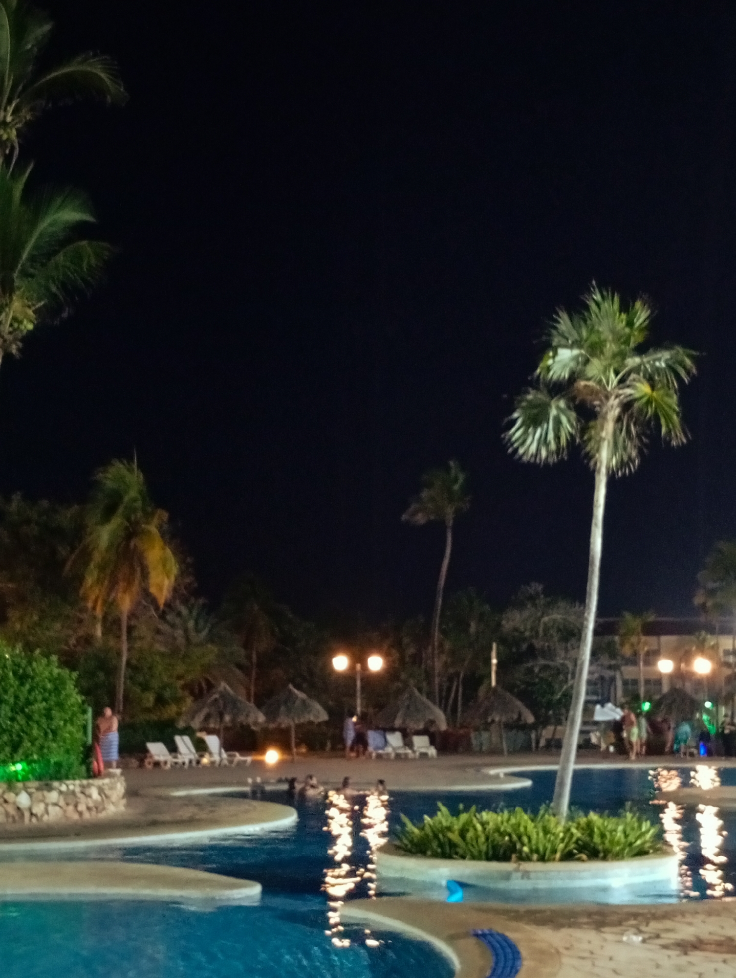 The image shows a swimming pool area at night in what appears to be Playa El Agua, Venezuela. Palm trees stand around the pool. Lounge chairs and thatched umbrellas are placed near the pool. Several people are in and around the pool. Lights are illuminated around the area, reflecting off the surface of the water.