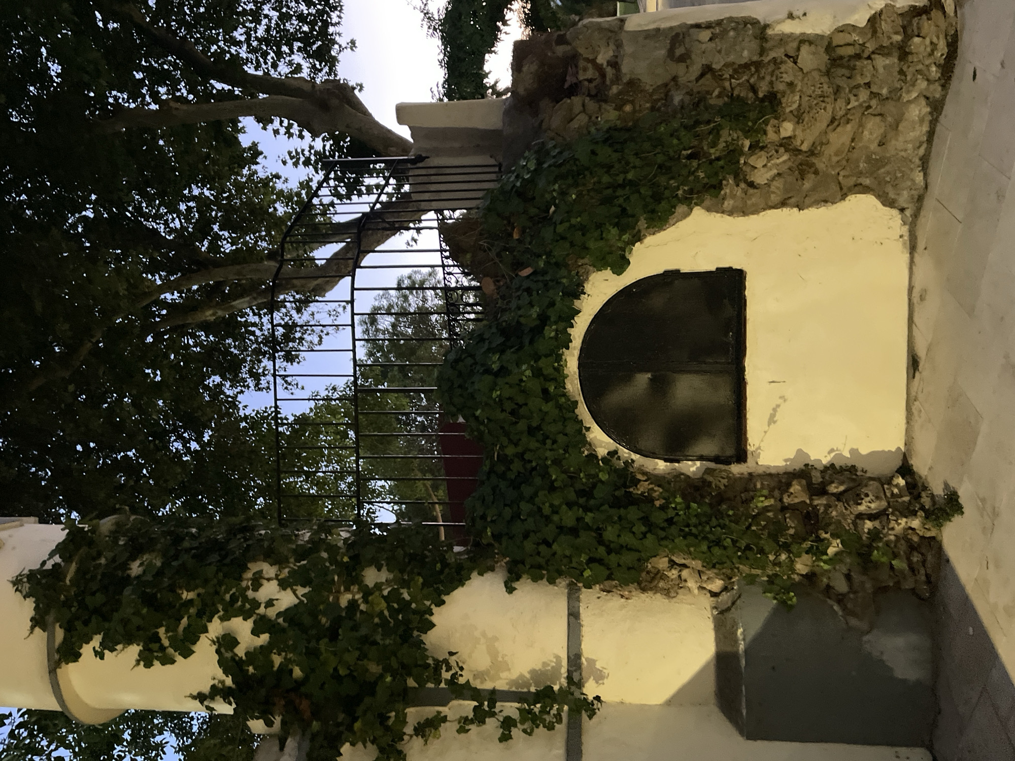 The image shows a wall with a dark, arched window covered by an iron grate. Ivy climbs up the wall, obscuring some of the stonework and a portion of the window. To the left of the window, a cream-colored cylindrical structure with some ivy is visible. Behind the wall, a black metal railing encloses a circular area, and a large tree with dense foliage is prominent, with its branches reaching towards the sky. The sky is a twilight blue. The scene appears to be an outdoor, urban setting in La Línea de la Concepción, Spain, possibly part of a historical or decorative structure. There are no people or animals visible in the image.