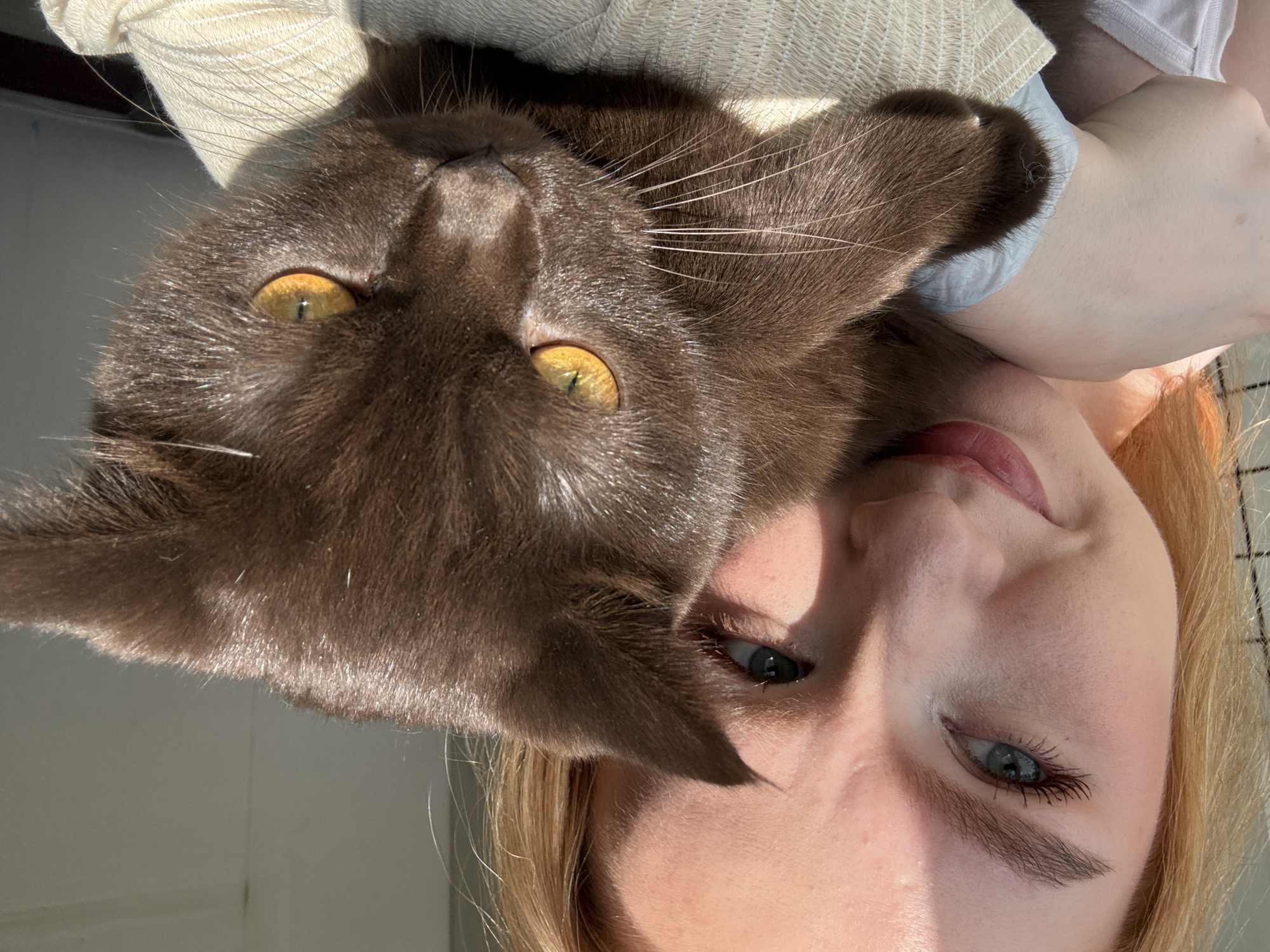 The image shows a young woman with blonde hair and blue eyes, holding a brown cat. The woman is smiling and looking at the camera, while the cat is looking away with its bright yellow eyes. The woman is wearing a light-colored top, and the cat is nestled in her arms, appearing to be wearing a light blue collar. They are indoors, near a window that is casting a strong shadow across the woman's face. The background appears to be a simple wall. There is no discernible information in the image to suggest the location is Chaikovsky, Russia.