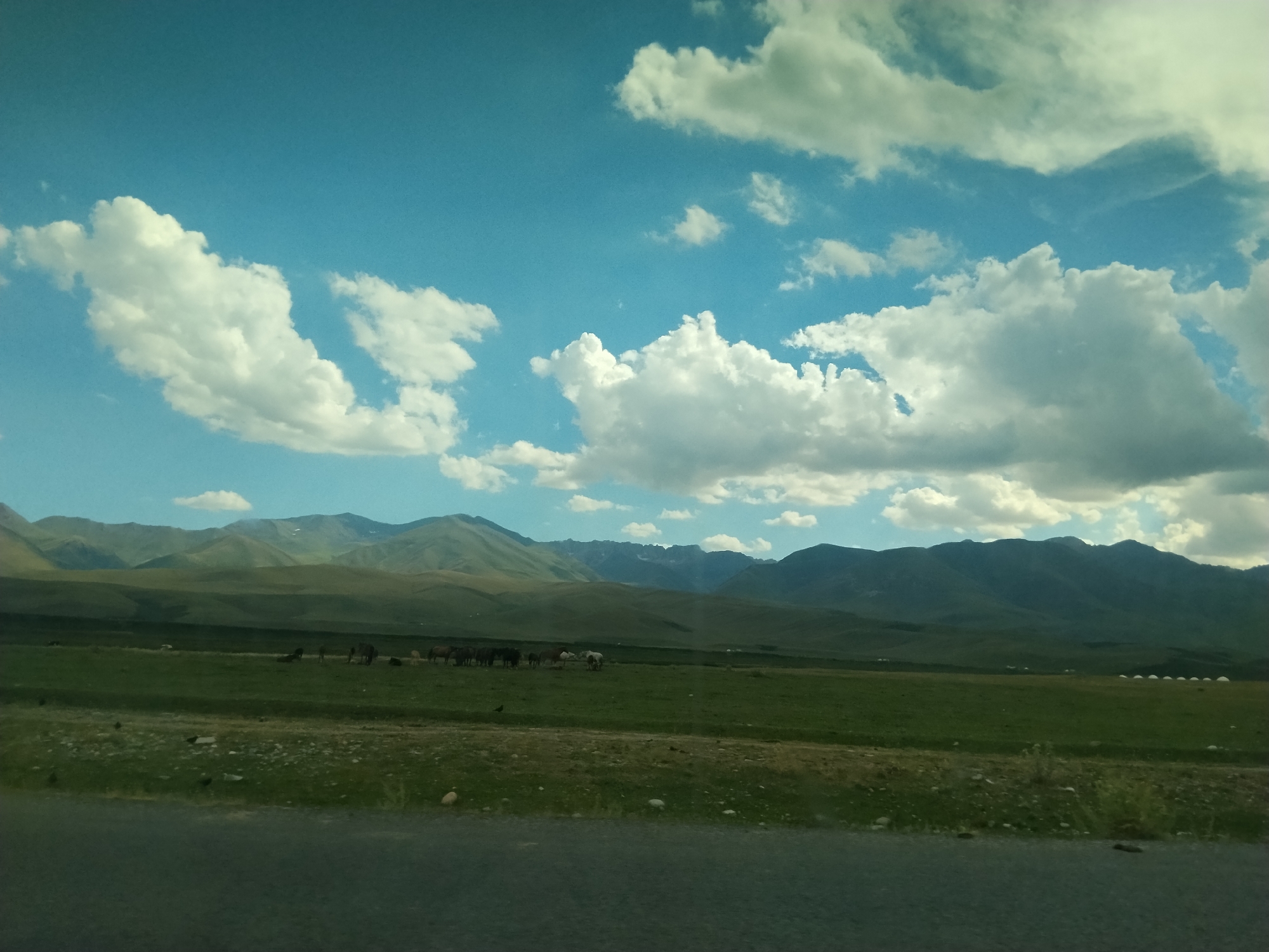 The image depicts a vast, rolling green landscape under a bright blue sky filled with fluffy white clouds. In the mid-ground, a herd of horses grazes peacefully in a large, open field. The horses appear to be of various colors, including brown, black, and white. In the background, majestic mountains rise, their slopes covered in a lush green hue. The foreground is dominated by a dark asphalt road, suggesting the photo was taken from a moving vehicle. There are no people visible in the scene. The overall impression is one of serene natural beauty and openness. This landscape is typical of the rural areas of Kyrgyzstan, known for its expansive steppes and mountain ranges.