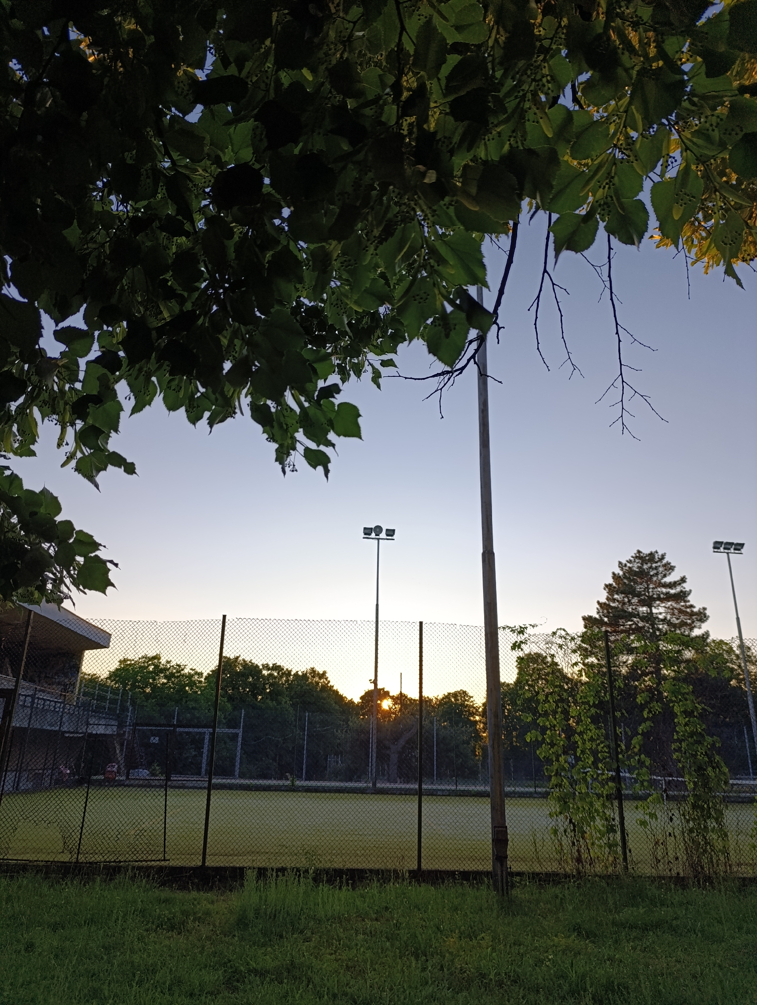 A low-angle, outdoor, handheld shot captures a sports field, likely a tennis court, at dusk. The scene is framed by the dark silhouette of lush green tree leaves and branches in the foreground. A chain-link fence encloses the field, revealing a pale green surface beneath. Beyond the fence, a dense line of trees forms the background, interspersed with two tall lampposts equipped with multiple light fixtures. The sun, a bright orange glow, is visible just above the horizon, peeking through the trees on the left side of the frame. In the far left, a portion of a building with a light-colored roof and stone-like walls is partially visible. The sky is a gradient of soft blue and pale yellow, indicating the transition from day to night. Tall grass grows in the foreground, blurring the lower edge of the frame.