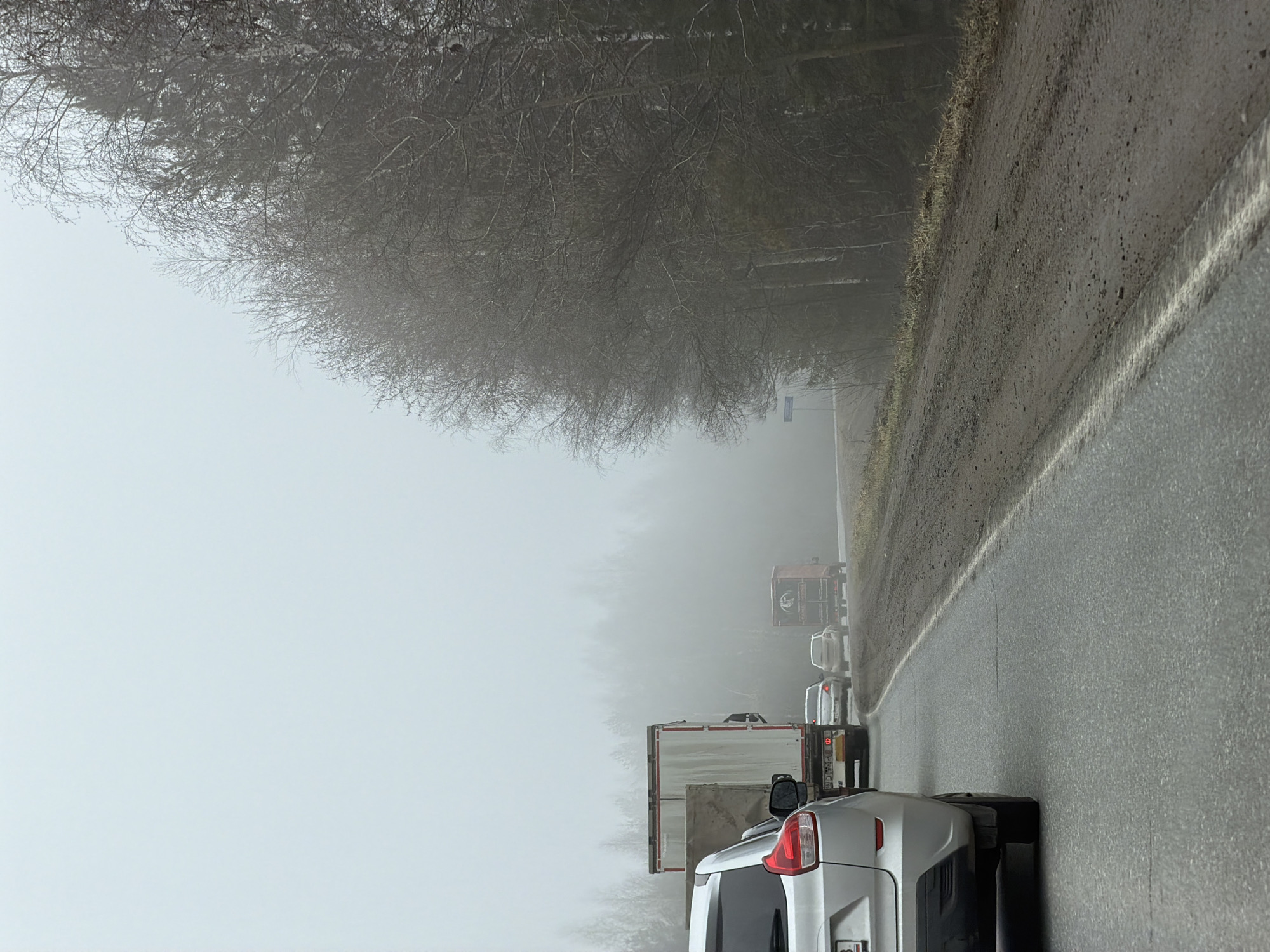 The image shows a traffic jam on a road in Bolgury, Russia. The scene is dominated by heavy fog. The road is wet, and a white line marks the edge. A silver minivan is visible in the foreground, with other vehicles, including a truck, lined up behind it. Bare trees are visible along the roadside, adding to the stark atmosphere. The overall impression is one of poor visibility and disrupted traffic flow.