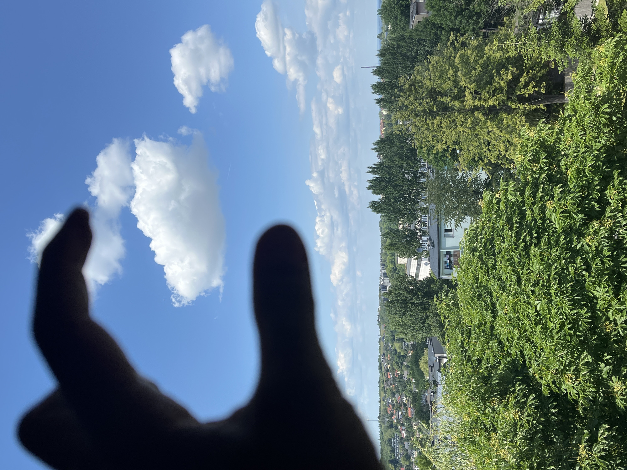 In the foreground, a dark silhouette of a hand is partially obscuring the view of a city skyline under a bright blue sky dotted with fluffy white clouds. The hand appears to be in focus, with the landscape behind it slightly blurred. The city below is a mix of residential buildings and lush green trees, with some taller buildings visible in the distance. The overall scene suggests a sunny day with a clear view.
