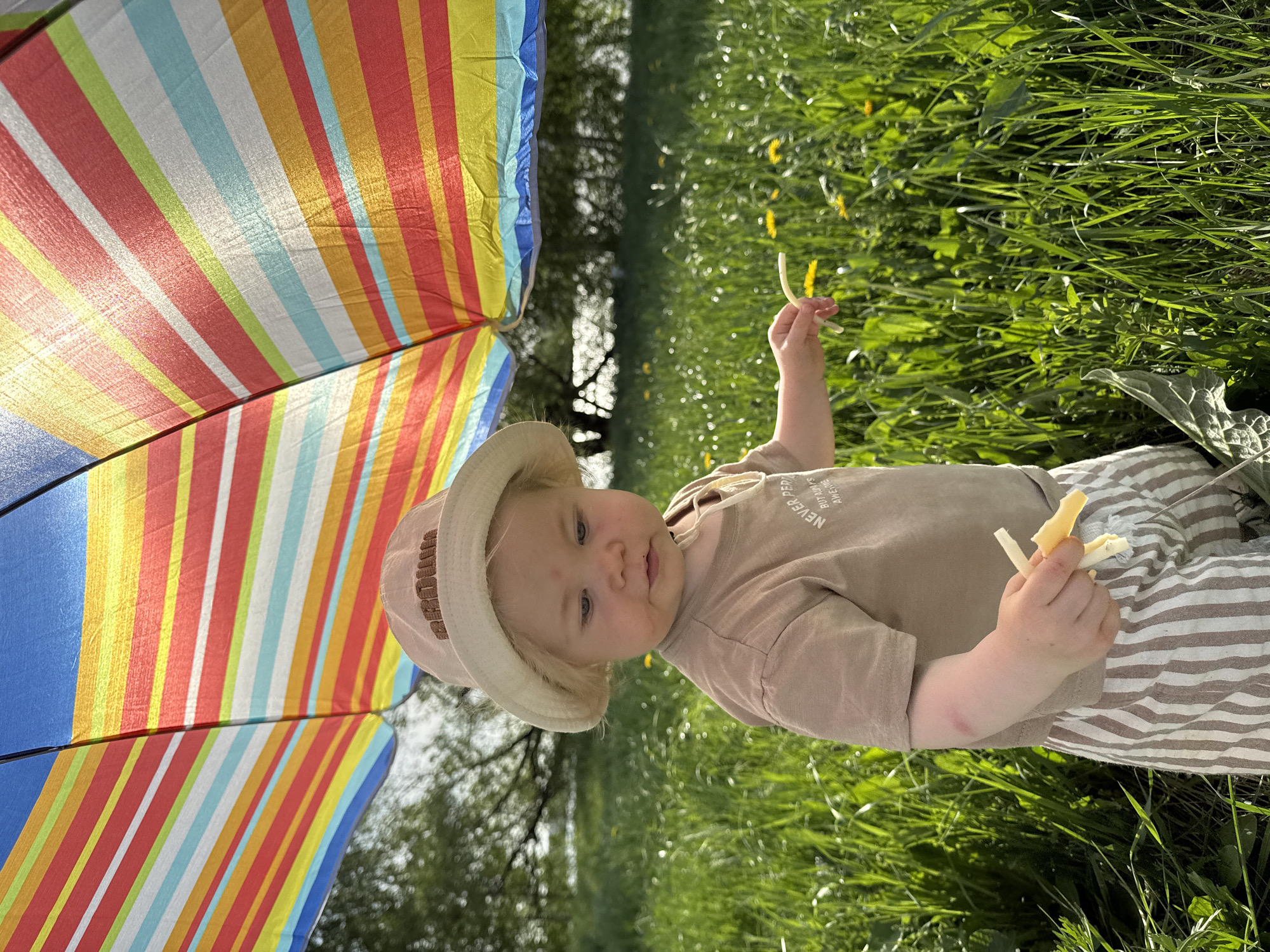A baby is sitting in a grassy area under a colorful striped umbrella. The baby is wearing a tan hat and a brown t-shirt. The baby is holding several pieces of what appears to be cheese in their hands. The background shows trees and more green grass. The specific location in Vladimir, Russia, is not discernible from the image.