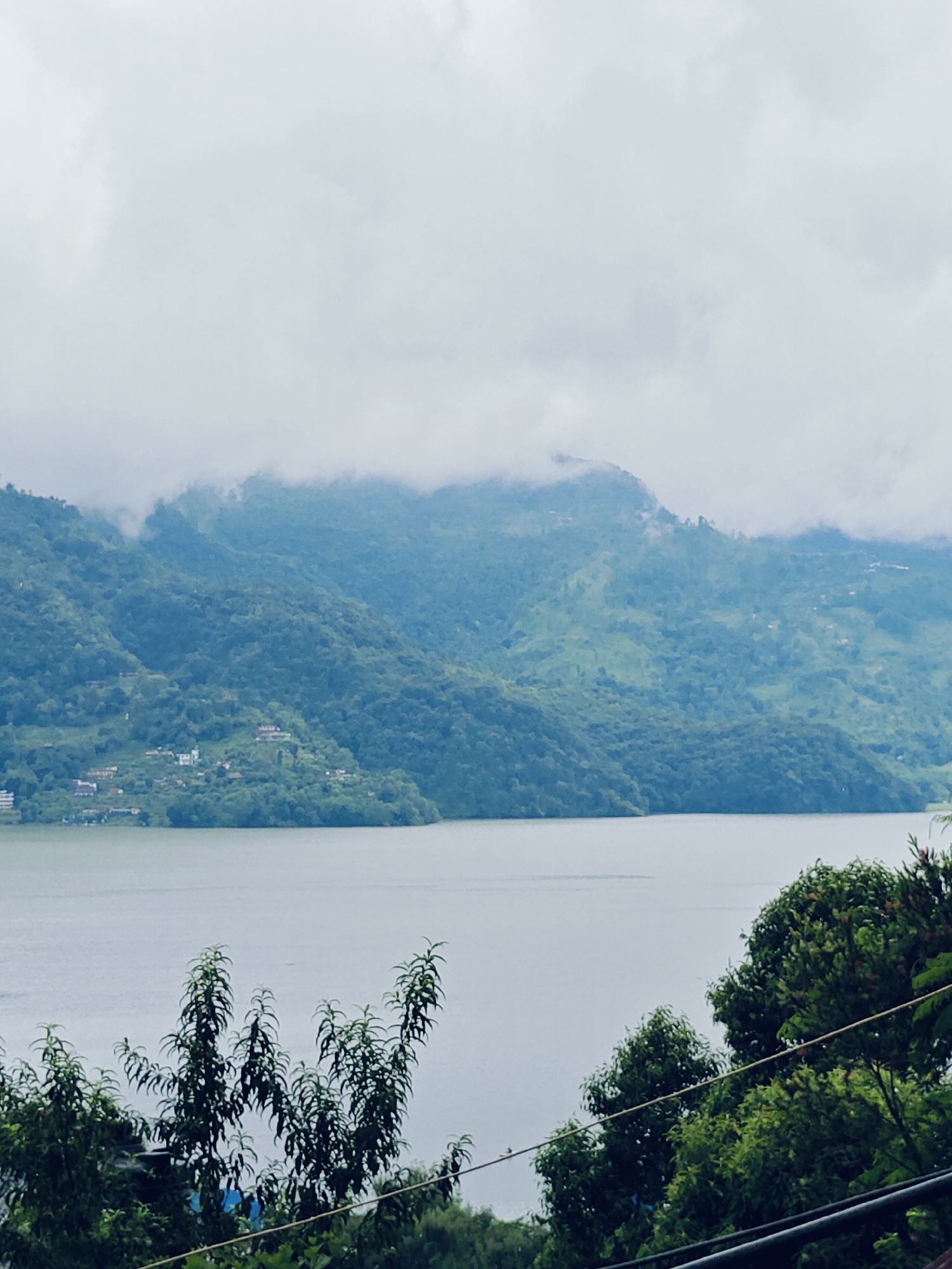 The image depicts a scenic view of Phewa Lake in Pokhara, Nepal, on a cloudy day. The foreground is dominated by lush green trees and foliage, with the tranquil, light-colored water of Phewa Lake stretching out towards the background. Across the lake, rolling hills covered in dense green vegetation rise up, partially obscured by a thick layer of mist and clouds that also hang low in the sky. Small, scattered white buildings and structures are visible nestled on the slopes of the hills, indicating human habitation within the natural landscape. The overall atmosphere is serene and overcast, characteristic of a damp day in the Himalayan foothills.