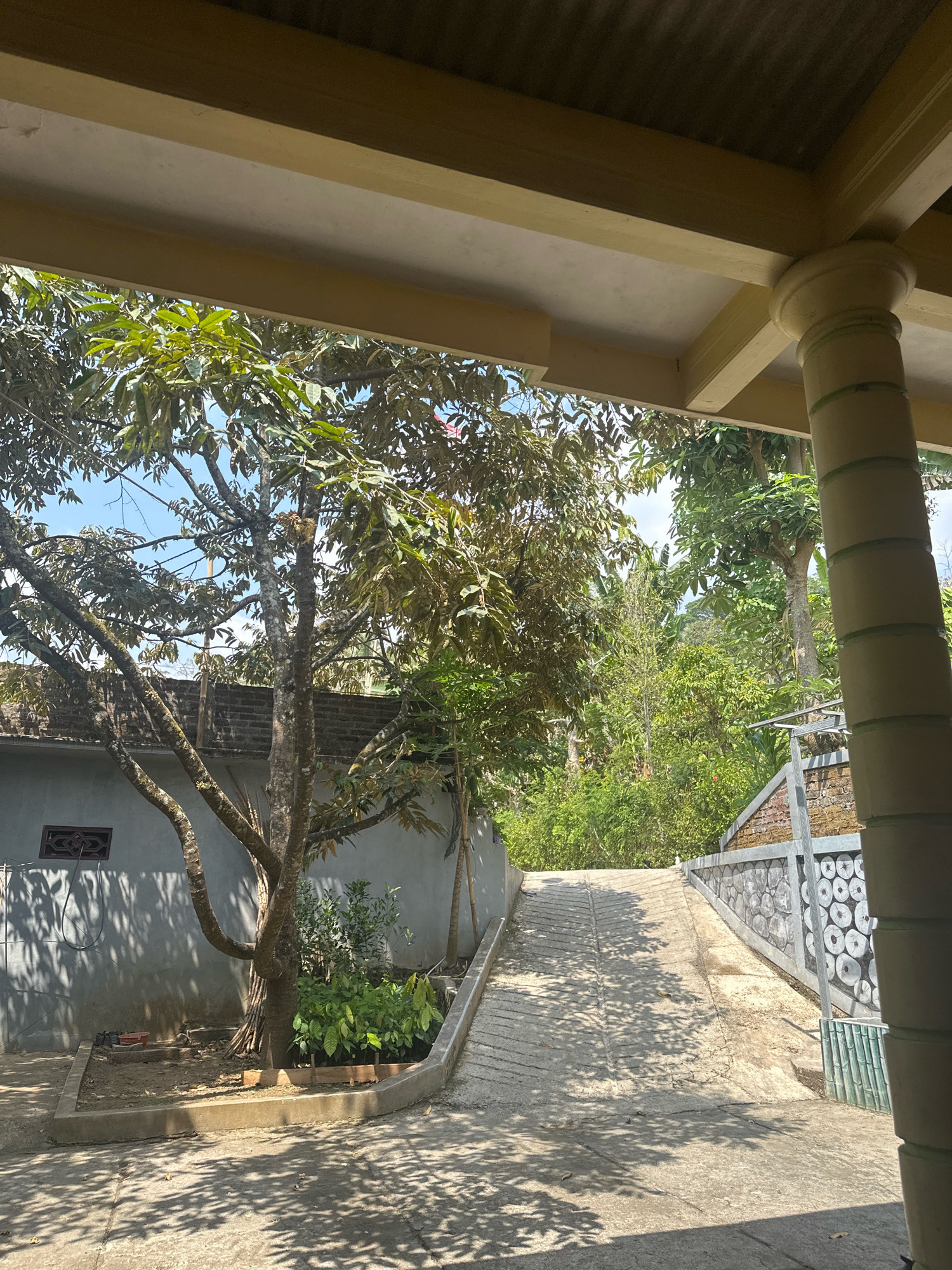 This image depicts a residential outdoor scene in Talun, Indonesia, featuring a sloped concrete driveway leading up a slight incline. To the left, a grey wall with a rectangular window is visible, adjacent to a mature tree with a rough, textured bark. The ground is partially covered in concrete with visible expansion joints, and the dappled sunlight creates a pattern of shadows from the tree canopy. In the foreground, a section of a covered patio with a yellow-painted beam and a cylindrical column suggests an entrance or transition area.
Further along the driveway, to the right, is a decorative brick wall with a pattern of circular insets. Beyond this wall and the driveway, a dense canopy of green trees and foliage forms the background, indicating a lush, tropical environment. The sky is a clear, bright blue. There are no people or animals visible in the image. The scene appears to be a quiet, everyday setting, possibly a home or a small compound.