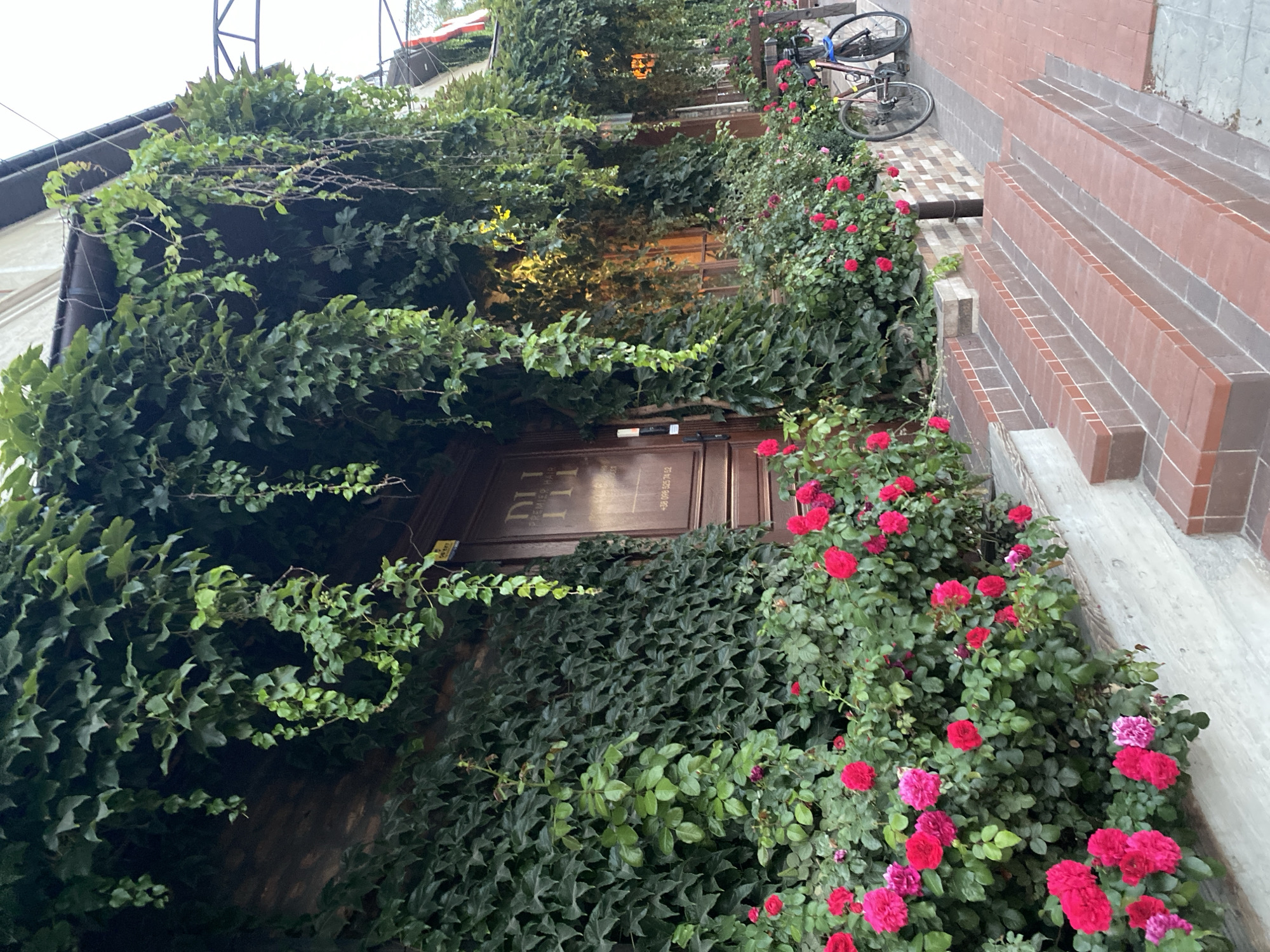 The image depicts the exterior of a building covered in lush green ivy, with bright pink roses blooming in the foreground. A set of brick stairs leads up to the entrance. To the right, a bicycle is parked on a paved pathway. The building appears to be a commercial establishment, with a sign that reads "DII PREMIER HAIR" visible on the wooden door. The overall impression is one of a well-maintained and attractive storefront, possibly located in Vinnytsia, Ukraine, given the visible phone number "+38 098 525 74 52".
