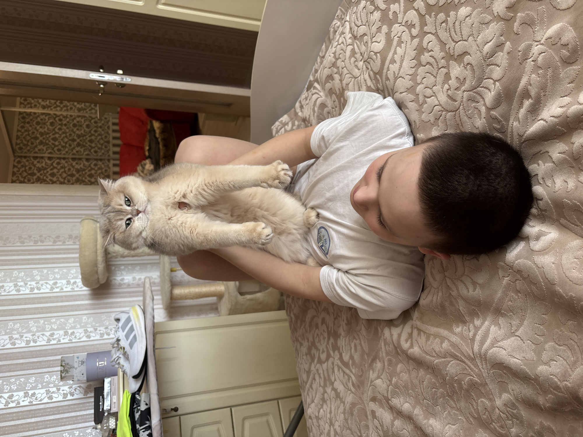 A fair-skinned person lies on a bed with a decorative, beige-colored bedspread while holding a cat. The person, likely a child, has short, dark hair and is wearing a white t-shirt. The cat is light brown with green eyes and lies on its back. The scene is indoors, possibly a bedroom, with a view of a hallway in the background. In the background, there is a cat tree and storage. Based on the available information, it is not possible to independently verify that this location is Chaikovsky, Russia.