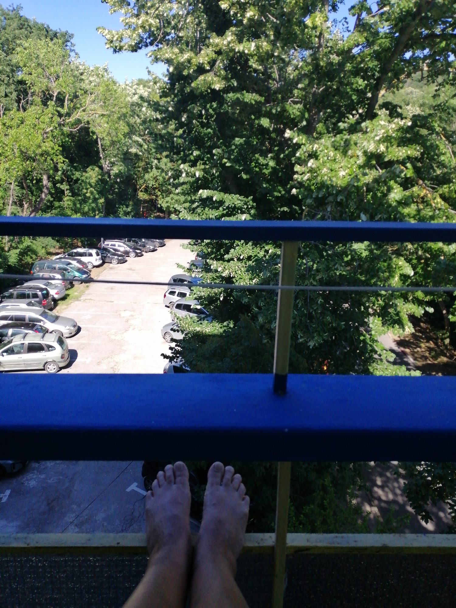 A high-angle, full shot depicts a parking lot filled with various cars situated amidst lush greenery and trees under a clear blue sky. The scene is framed by a blue railing in the foreground, with two bare feet of a person visible resting on the railing. The parking lot appears to be on a paved surface, with some white markings indicating parking spaces. The cars are diverse in make and model, suggesting a public parking area. The surrounding environment is abundant with trees, some of which have white flowers, indicating a summer season. The overall impression is a peaceful outdoor scene in a well-vegetated urban setting, possibly a park or a residential area. The location is identified as the city of Varna, Bulgaria.