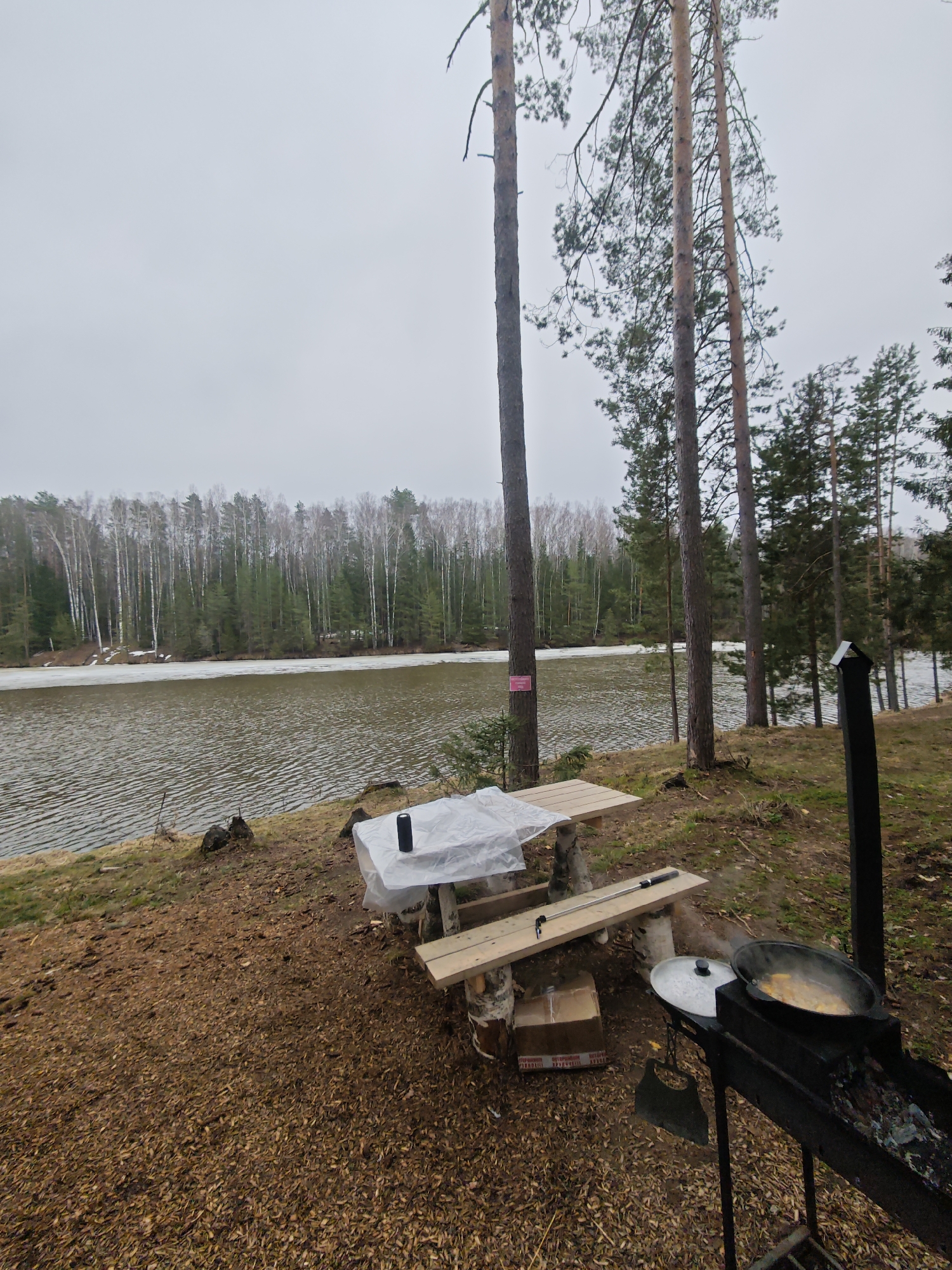 This image captures an outdoor cooking and picnic scene by a lake or river in Мишкино, Russia, likely during early spring or late autumn. The sky is overcast and grey, indicating a cloudy day with diffused light.
In the foreground, a rustic wooden picnic table, constructed from planks and supported by what appear to be birch logs, is set up. The tabletop is covered with a clear plastic sheet. A black portable speaker rests on the table, and a long metal tool with a black handle is placed on the wooden bench. Below the bench, a cardboard box is visible. To the right, a black metal grill or brazier (mangal) is actively in use, with glowing coals visible inside and faint smoke rising. A large, dark, cast-iron pot, possibly a kazan, holds a yellowish food item, possibly a stew or pilaf, cooking over the fire. A pot lid rests beside it.
The ground around the picnic area is covered in brown leaves and pine needles. Several tall pine trees stand prominently, their branches sparsely covered with needles, further indicating the season. A small pink sign is attached to one of the pine trees near the water's edge, but its text is illegible.
Across the rippled water, a dense forest lines the opposite bank, composed of both bare deciduous trees, predominantly birches with their white trunks, and dark green coniferous trees. Patches of ice are visible along the far shoreline, confirming the cold weather conditions. No people are visible in the scene.