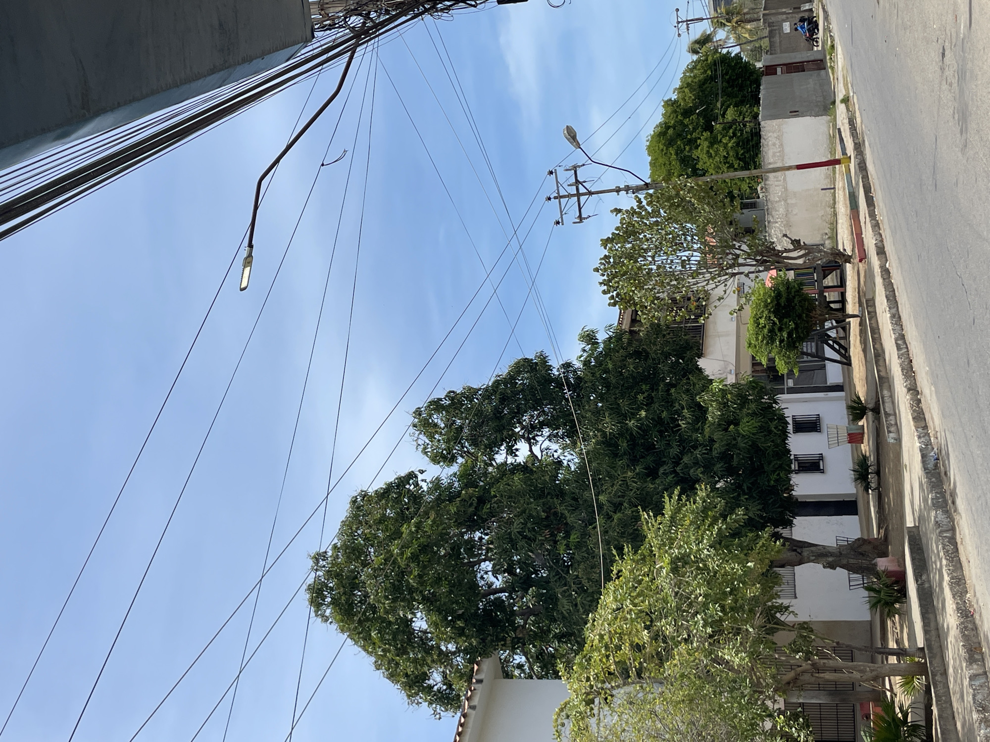 A street view in Porlamar, Venezuela. The shot is taken from a low angle, looking upward at electrical wires crisscrossing the sky above the street. A street lamp hangs from one of the wires. Vegetation, including several trees, lines the street. Buildings are visible behind the trees. A motorcycle is parked on the right edge of the image. The sky is blue with wisps of clouds.