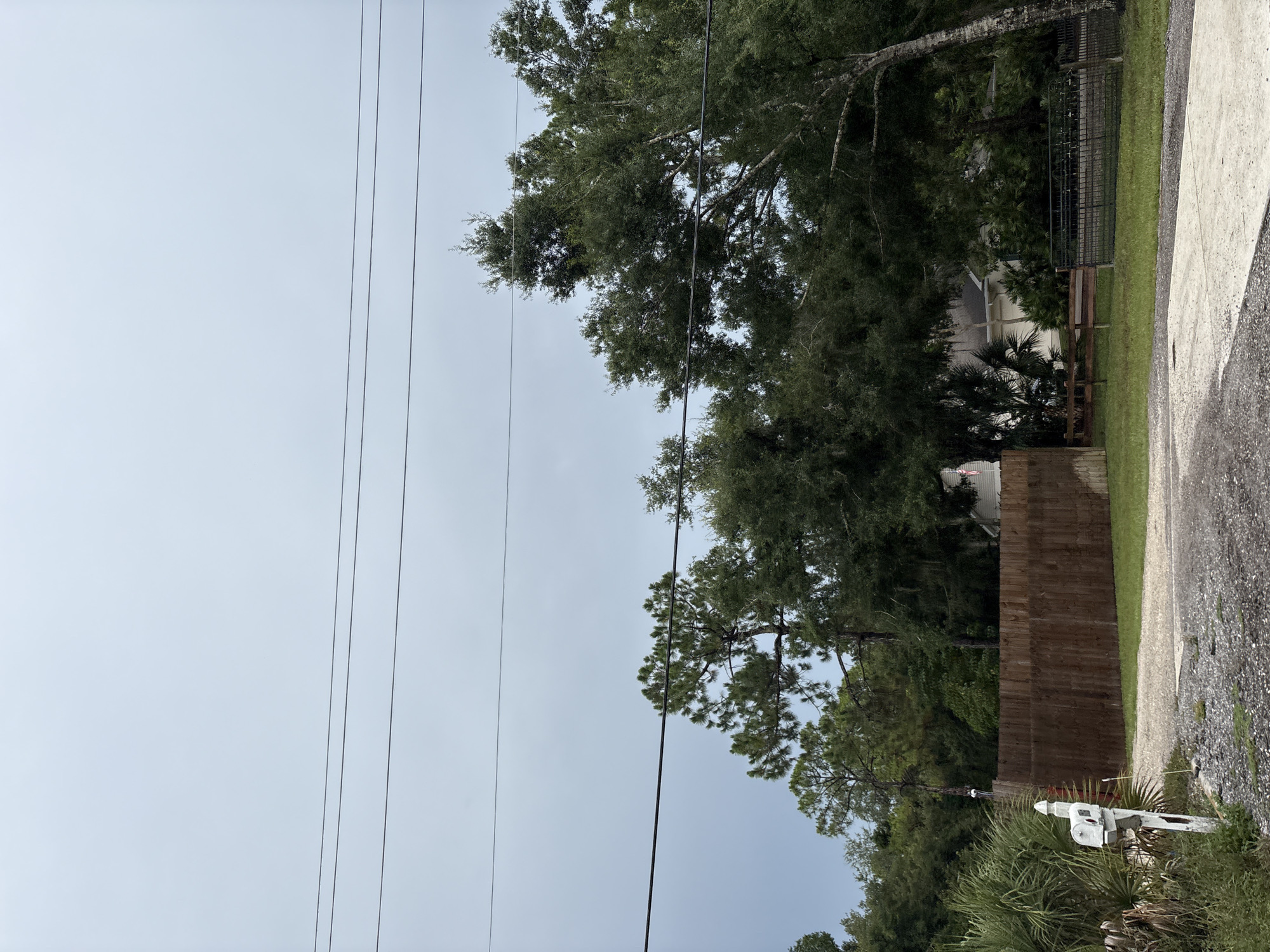 This is an outdoor, medium-shot, eye-level photograph of a residential driveway in Bradenton, Florida. The sky is overcast and gray. Three power lines run horizontally across the upper portion of the frame. The foreground consists of a gravel driveway leading towards a concrete pad. To the left of the driveway is a white mailbox on a post, surrounded by green foliage and palm fronds. A wooden fence runs along the right side of the driveway, behind which are several trees, including tall pine trees and large, leafy trees. A portion of a white house with a red, white, and blue flag is visible behind the trees and fence. To the right of the house, a black metal gate and fence are visible in front of more trees and grass. The scene appears to be a quiet, suburban residential area.