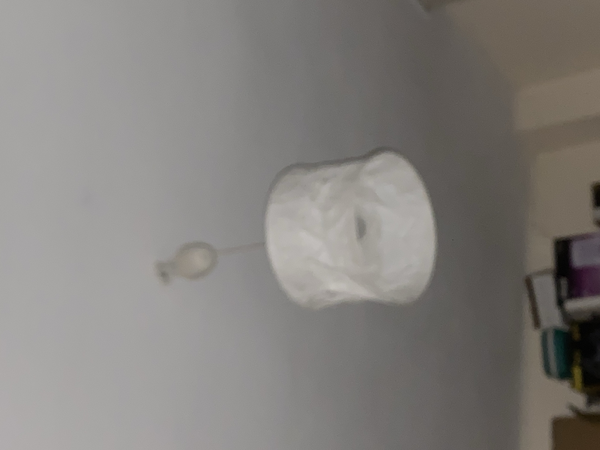 A blurry photograph shows a ceiling light fixture against a light gray wall. The light fixture consists of a round white shade with a smaller, opaque bulb-like element extending from the fixture towards the left. The location cannot be determined from the image.