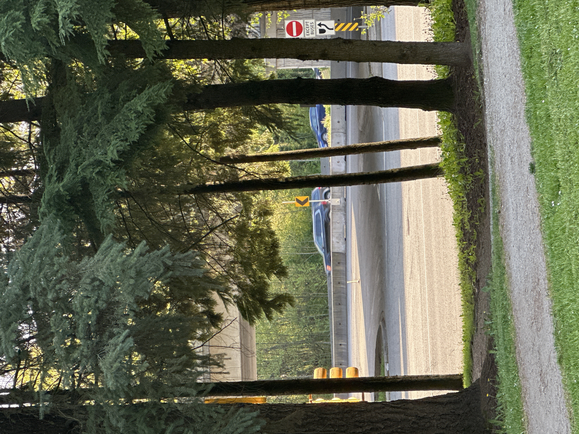 The image depicts a view through a line of trees towards a road and a path. The trees appear to be evergreen. A grey sedan is visible on the road. Road signs reading "Except Buses" and a "Do Not Enter" sign are visible along the side of the road. Next to the road there is a gravel path bordered by grass. The road is likely located in Burnaby, Canada.