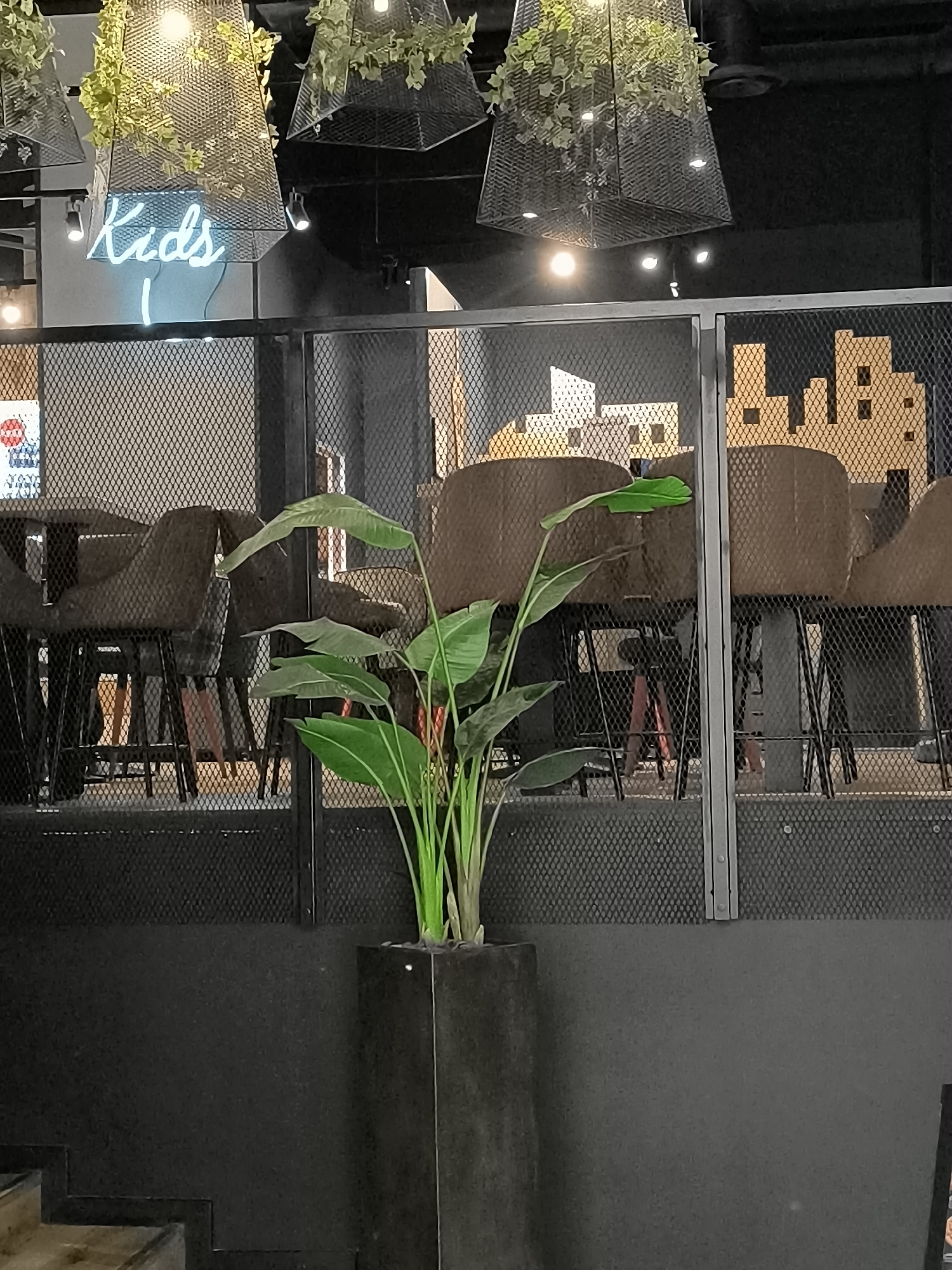 The image depicts the interior of a modern establishment, likely a restaurant or cafe, with a contemporary industrial aesthetic. In the upper left corner, a neon sign in a bright blue hue spells out "Kids." The sign is mounted against a dark wall, partially obscured by decorative metal fixtures suspended from the ceiling, which are interwoven with artificial greenery. Below this, a metal mesh barrier divides the space.
Through the mesh, several high-top chairs with brown, textured upholstery and dark metal legs are visible, arranged around tables. The background behind the chairs features a stylized depiction of a city skyline, rendered in a muted tan color with dark square windows.
In the foreground, to the right of the mesh barrier, a tall, dark planter holds a lush green plant with large, paddle-shaped leaves and a few red-tipped flower buds. The plant is positioned in front of the barrier, adding a touch of natural element to the otherwise man-made environment. The floor in the lower left of the image shows a portion of a staircase. The overall color palette is dominated by dark grays and browns, with the blue neon sign and green plant providing pops of color. The lighting appears to be a mix of ambient and focused spotlights, creating a somewhat dim yet functional atmosphere. The location of this establishment in Klaipėda, Lithuania, is not discernible from the visual information presented in the image.