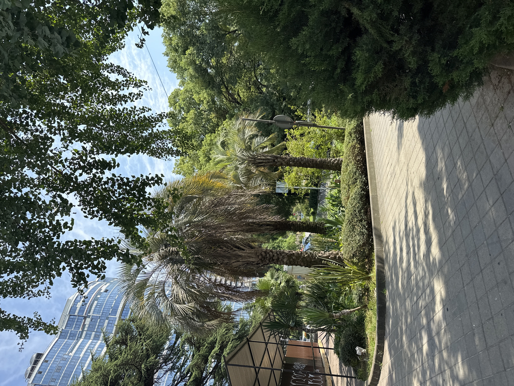 The image captures a sun-dappled paved walkway in front of a lush green garden. The walkway is made of gray square pavers, with dappled shadows from overhead foliage cast across it. To the left of the walkway, there is a raised garden bed filled with various green plants, including palm trees, yucca-like plants, and bushes. A modern, multi-story building with a curved glass facade is visible behind the garden. A covered structure with a corrugated metal roof and metal supports stands adjacent to the garden and walkway. The background is filled with dense green trees. The sky is blue with scattered white clouds. The scene appears to be in a park or public area within a city.