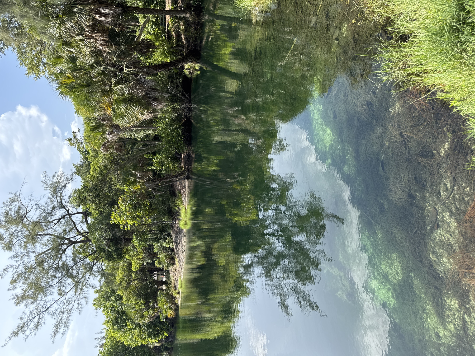 The image shows a clear, turquoise body of water bordered by lush green vegetation. The water is so clear that the rocky bottom and submerged aquatic plants are visible. The shoreline is lined with a mix of palm trees and other tropical foliage. The sky above is a bright blue with a few scattered white clouds. The scene appears to be a natural spring or a well-maintained park area. There are no people visible in the image, and the overall impression is one of tranquility and natural beauty. The location is identified as Fort Lauderdale, United States of America.