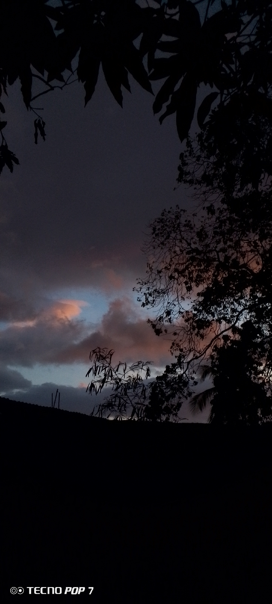 A silhouetted landscape is shown against a twilight sky. The sky is a gradient of dark grey at the top, transitioning to hues of pale blue and pinkish clouds towards the bottom. Trees with dark, dense foliage frame the top and right edges of the image. In the mid-ground, smaller silhouetted trees and a dark, uneven roofline are visible. A watermark at the bottom left corner reads "TECNO POP 7". The scene appears to be set in a natural or semi-urban environment during dusk. The location in Altagracia, Venezuela is not visually discernable from the image itself.