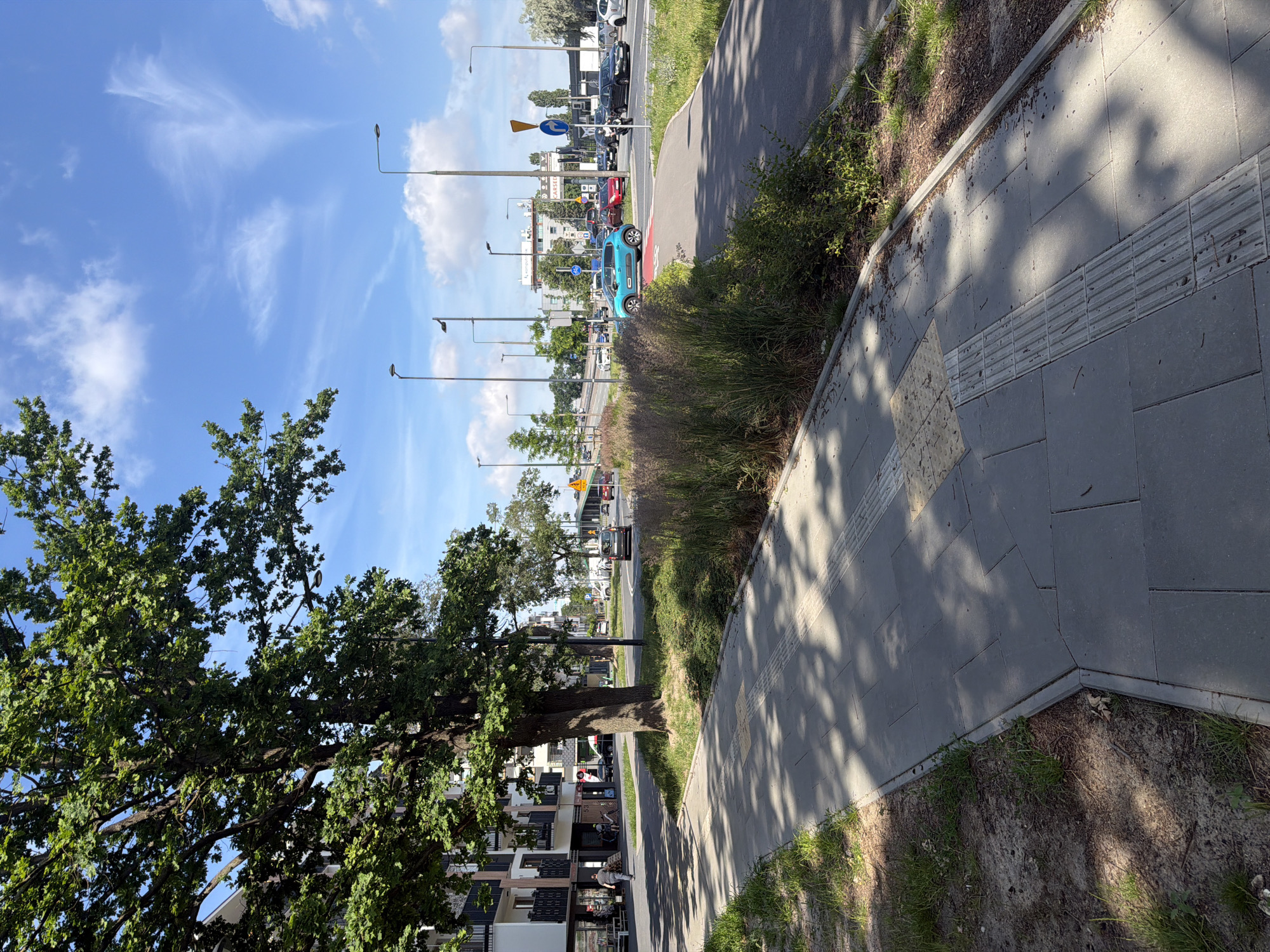 A bright, sunny day in an urban setting. A sidewalk made of grey square pavers runs from the foreground to the mid-ground on the left, partially shaded by the leaves of a large tree. Tactile paving is visible on the sidewalk. To the left of the sidewalk is a grassy area and a modern apartment building with balconies. To the right of the sidewalk is a green median strip with ornamental grasses and further to the right is a paved road with multiple lanes and traffic. Several cars, including a turquoise hatchback and a red sedan, are visible on the road. Streetlights are present along the road. In the background, buildings and trees line the horizon under a blue sky with scattered white clouds. A pedestrian walkway is also visible in the mid-ground, curving around the green median.
