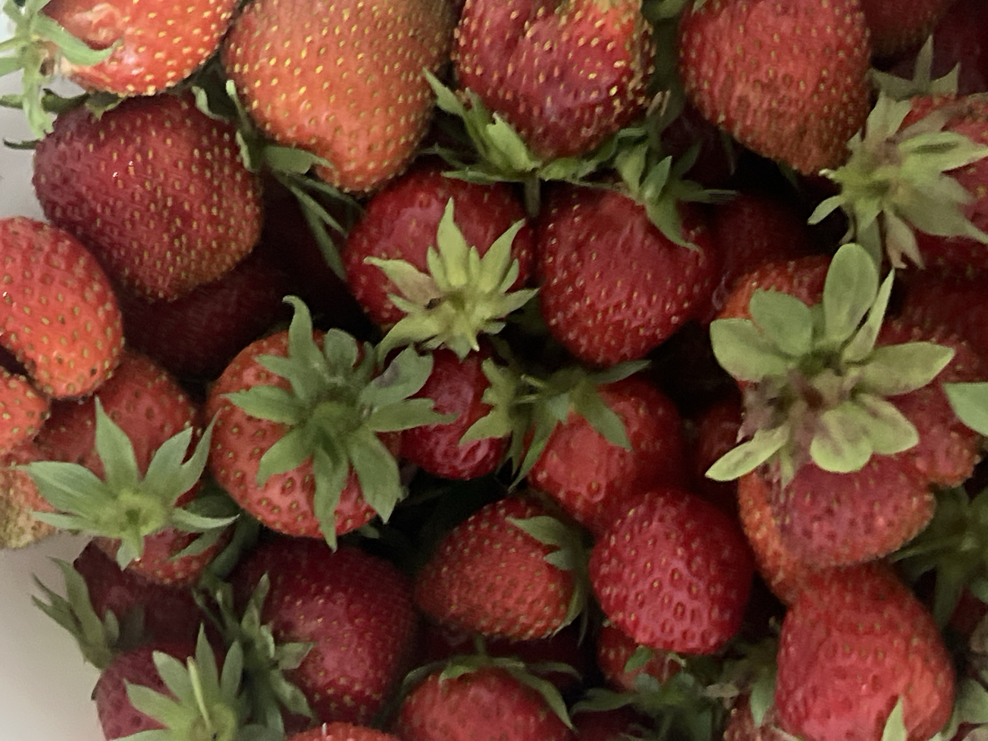 This is a close-up, overhead shot of a pile of fresh, ripe strawberries. The strawberries are a vibrant red and are tightly packed together, with their green leafy tops visible. The lighting is natural and slightly diffused, highlighting the texture and detail of the fruit. The background is out of focus, suggesting the strawberries are in a container or on a surface. There are no people, animals, or any indication of a specific location within Votkinsk, Russia. The image is purely a detailed depiction of strawberries.