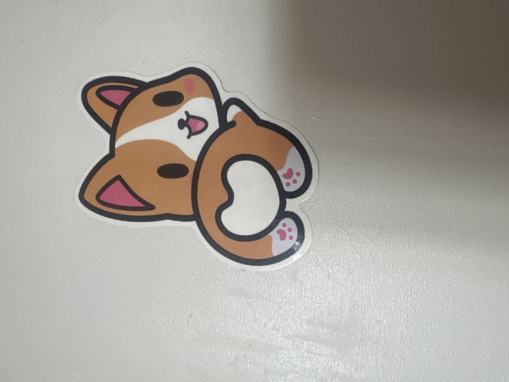 This is a close-up, overhead shot of a sticker of a cartoon corgi dog. The corgi is light brown with white markings on its face and chest. It has black eyes, pink blush marks on its cheeks, and a pink tongue sticking out. The corgi is curled up, with its tail wrapped around its body. Its paws, which have pink toe beans, are visible. The sticker has a thick black outline. The background is a textured, light gray surface. The lighting suggests it is indoors, likely during daytime. No text is visible.