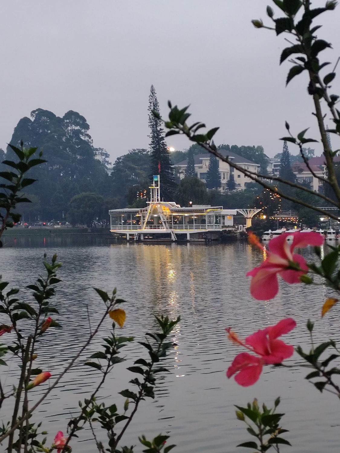 This serene landscape captures a tranquil scene in Da Lat, Vietnam, at what appears to be twilight or on an overcast day. The image is framed by dark green foliage and vibrant pink hibiscus flowers in the foreground, some appearing slightly out of focus, suggesting they are close to the camera.
The central subject is a modern, white floating structure, likely a boat or a permanent platform, situated on a calm body of water, presumably Xuan Huong Lake. This structure features large glass windows and is warmly illuminated by yellow lights, which cast shimmering reflections across the water's rippled surface. A flag, possibly the Vietnamese flag, is visible on a pole atop the structure, fluttering gently.
In the mid-ground, the lake extends across the frame, reflecting the soft ambient light from the sky and the artificial lights. Beyond the lake, the background features lush, dark green hills covered with dense trees, including tall, slender pine trees characteristic of Da Lat. Several light-colored buildings, possibly villas or hotels, are nestled amongst the trees on the far bank.
The sky is a uniform, soft gray, indicating either an early morning or late evening ambiance, or simply an overcast day. The overall mood is peaceful and calm, with the illuminated structure providing a focal point. No distinct human activity is visible, but the lit structure implies it's a place for leisure or dining. There is no visible text in the image.